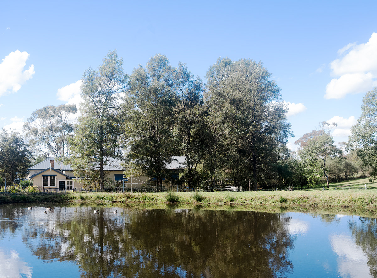 The rear of our home where we always seem to be sharing our dam with a family of ducks.