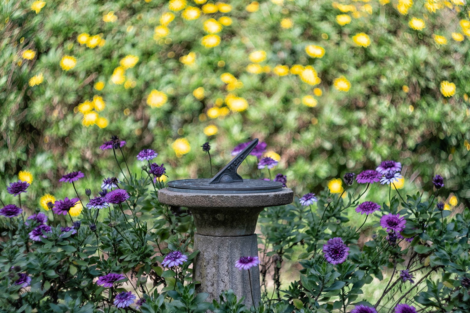 The garden sundial