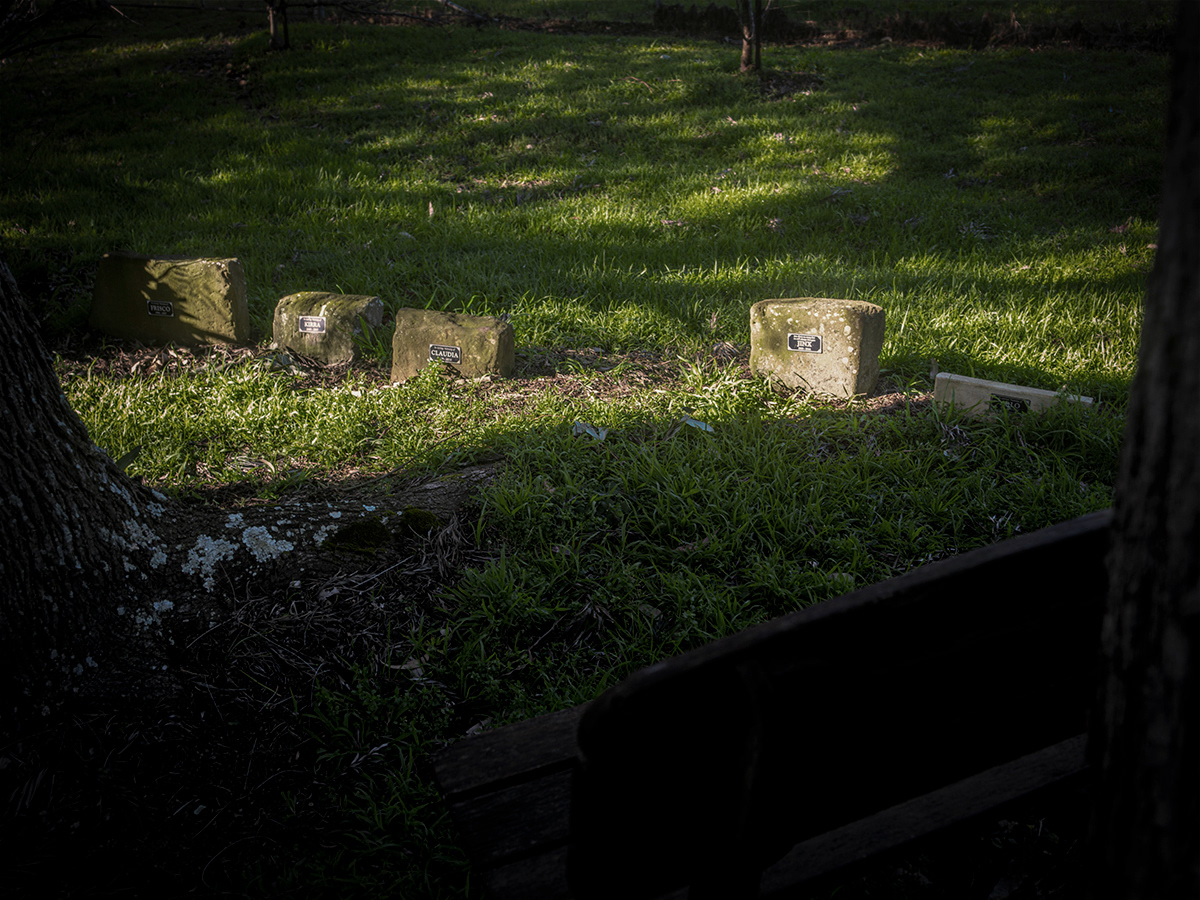 Pet cemetery