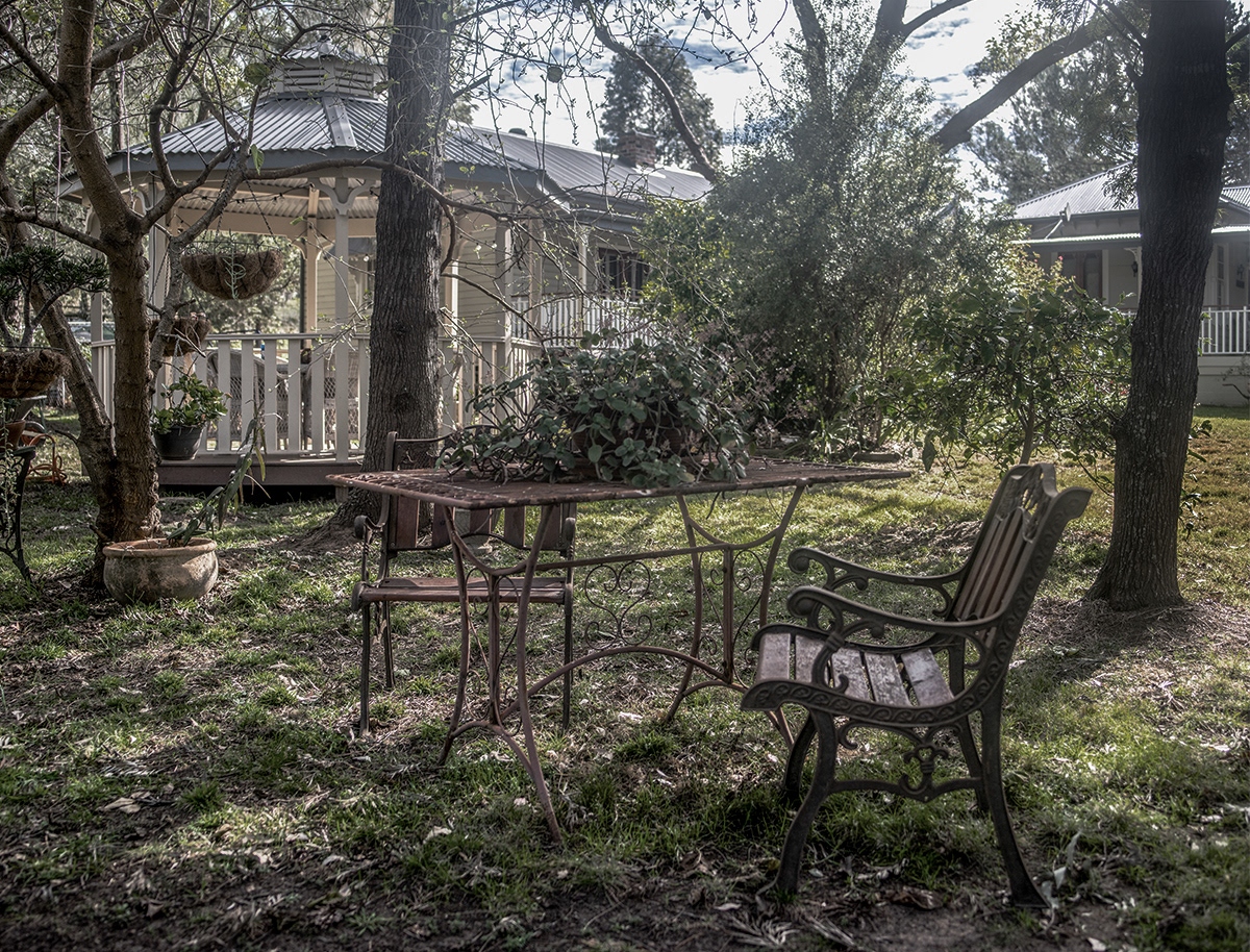 In the garden