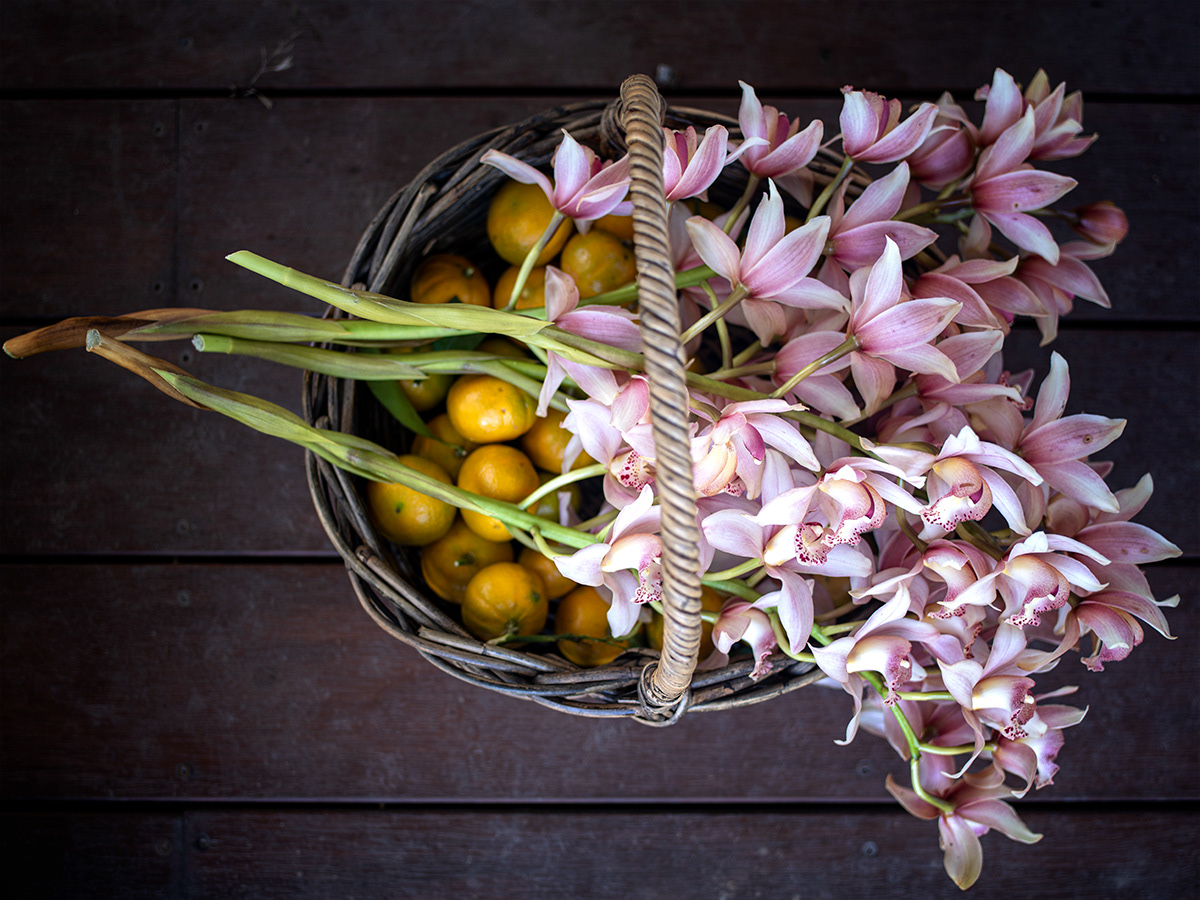 Today’s harvest - lemons, limes, mandarins and orchids