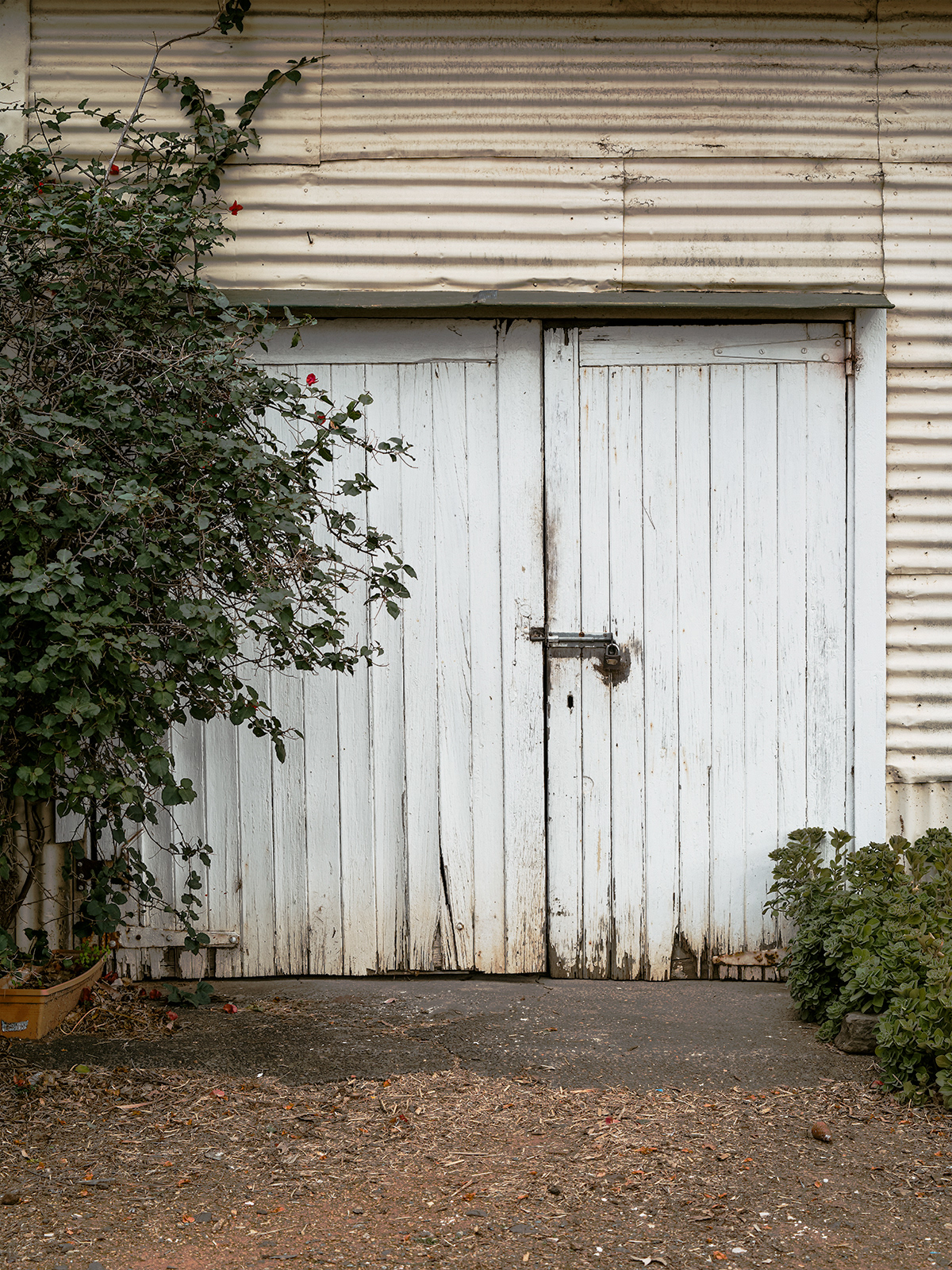Barn doors built in C.1919