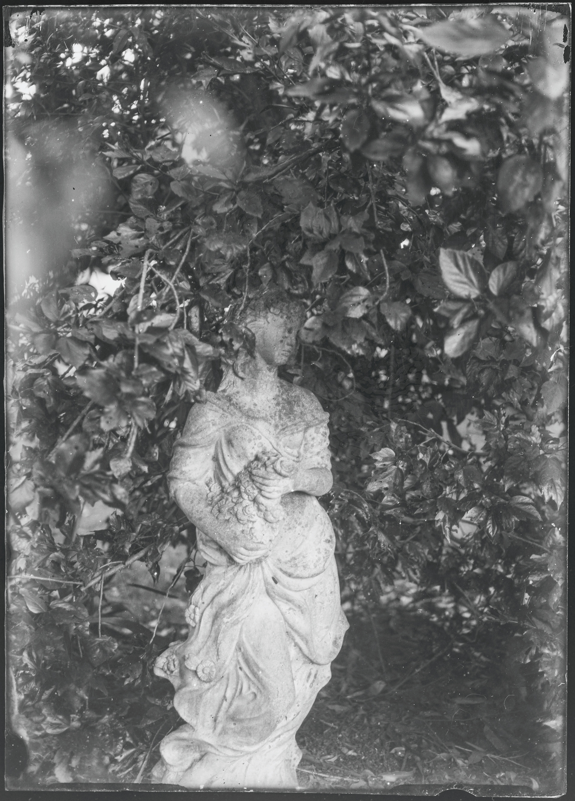 A glass plate negative of Florentine - our garden statue