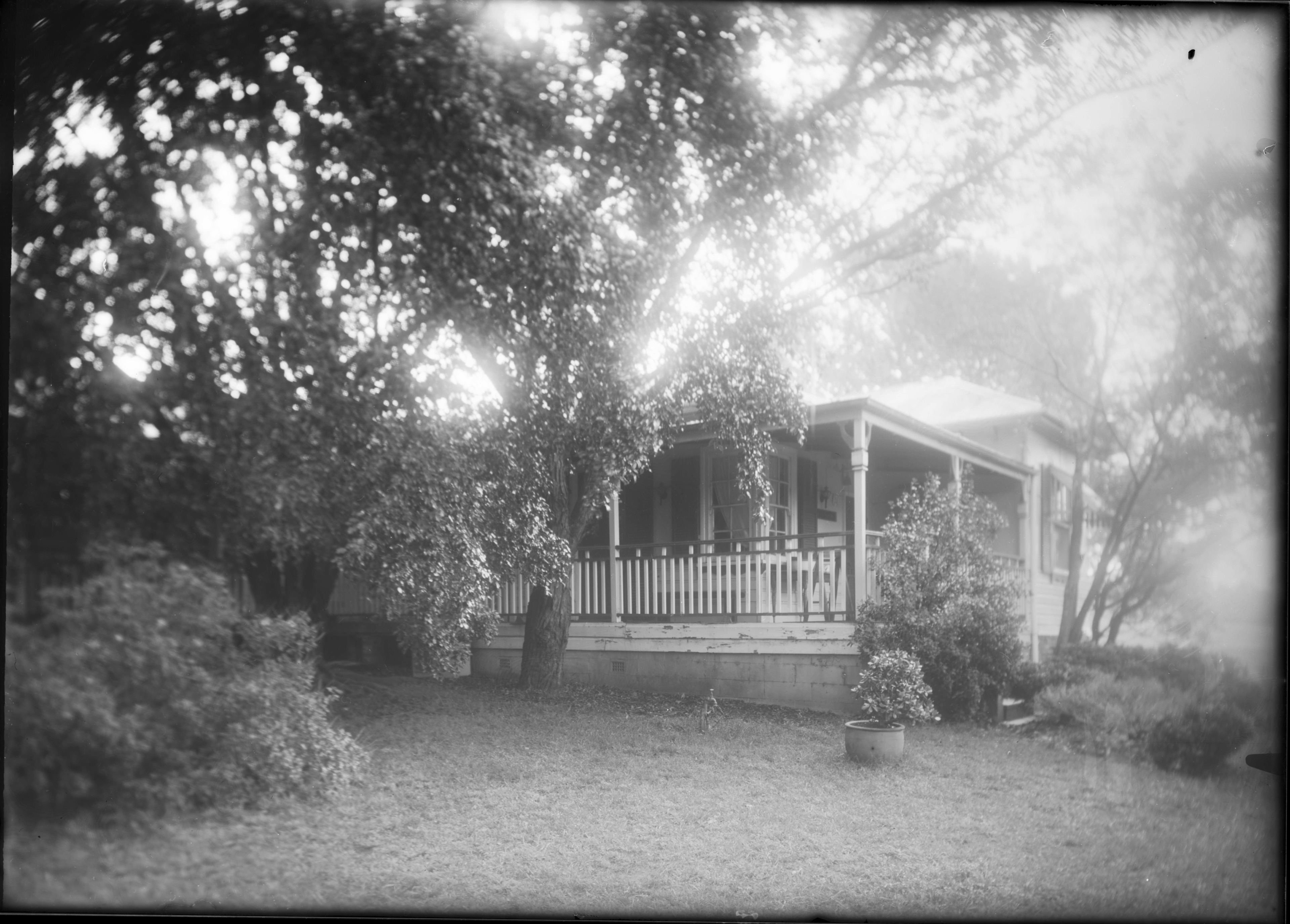 A glass plate photograph of Alingarra Homestead
