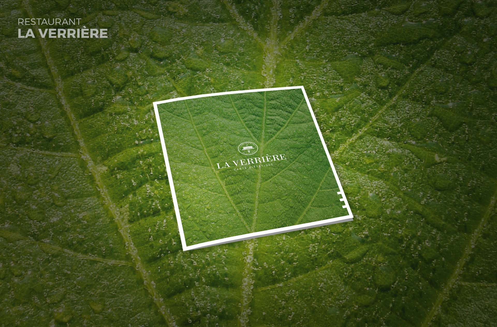 Carte graphiste Saint-Malo