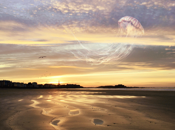 photomontage surréaliste graphiste Saint-Malo