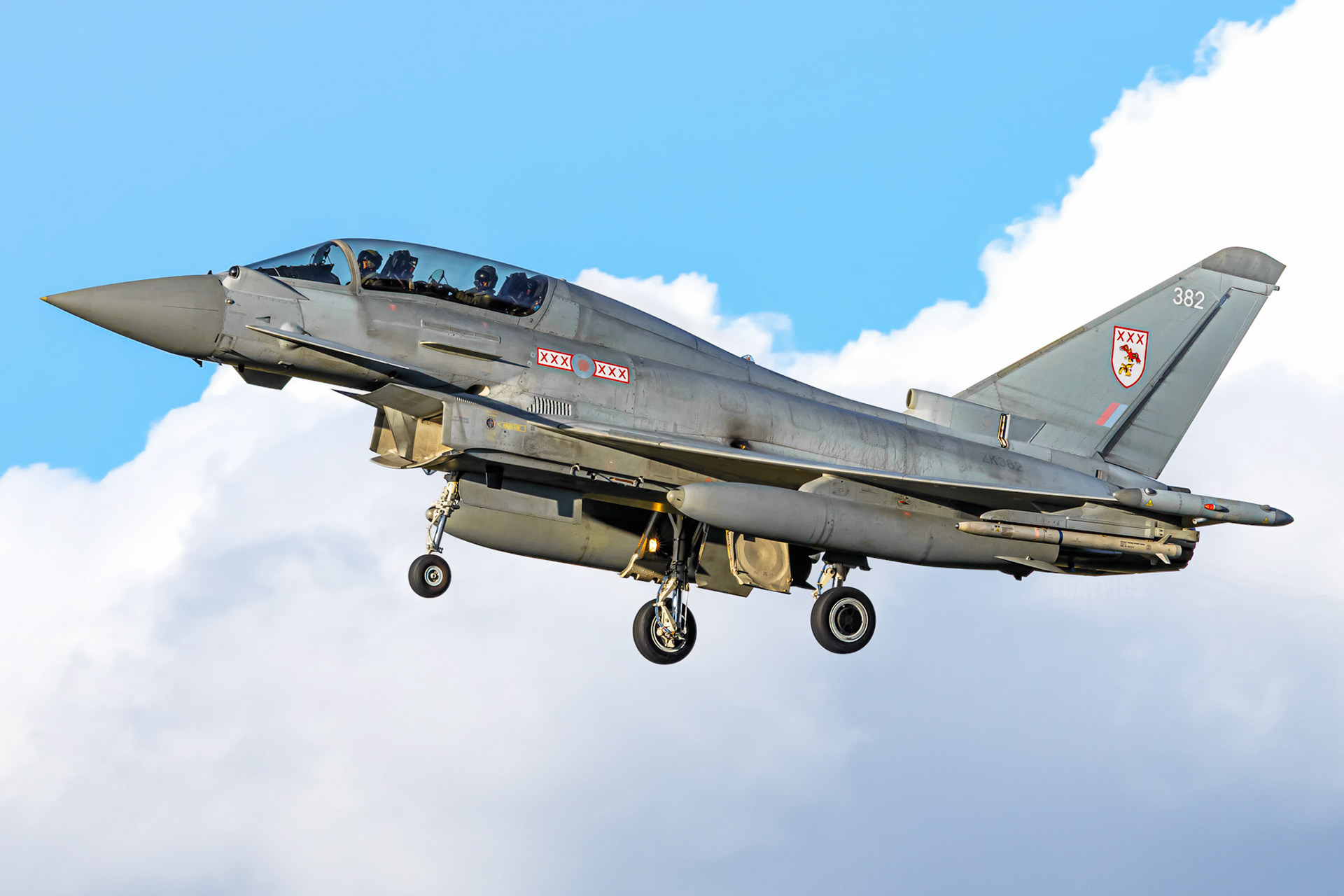 Typhoon T.3