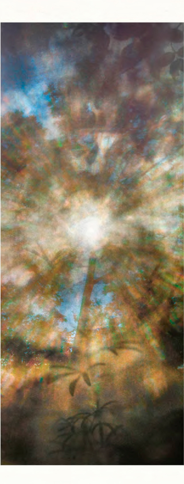 La Terre