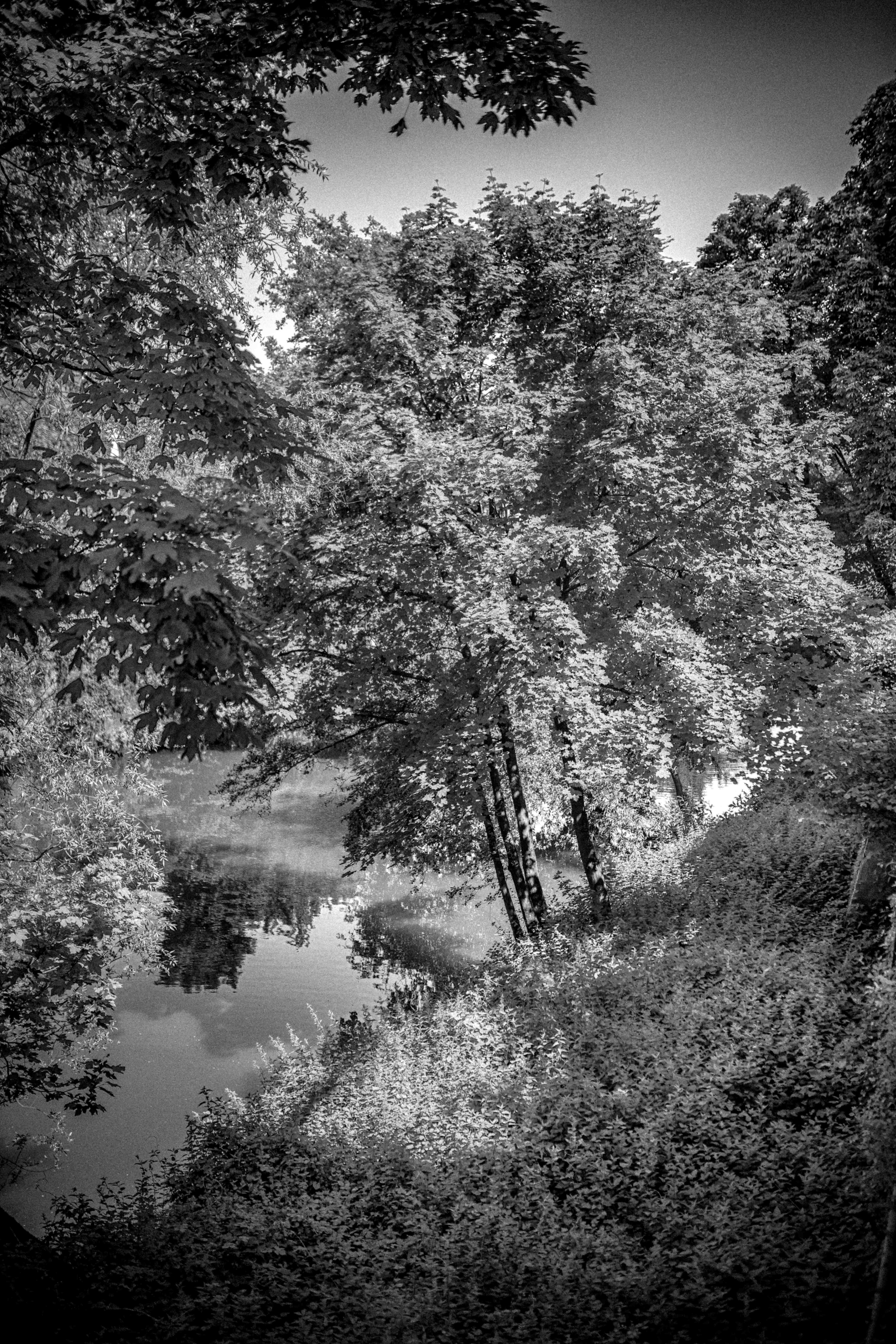 Au fil de l'eau - 2017