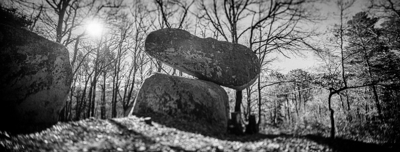 l'or du sidobre - 2022