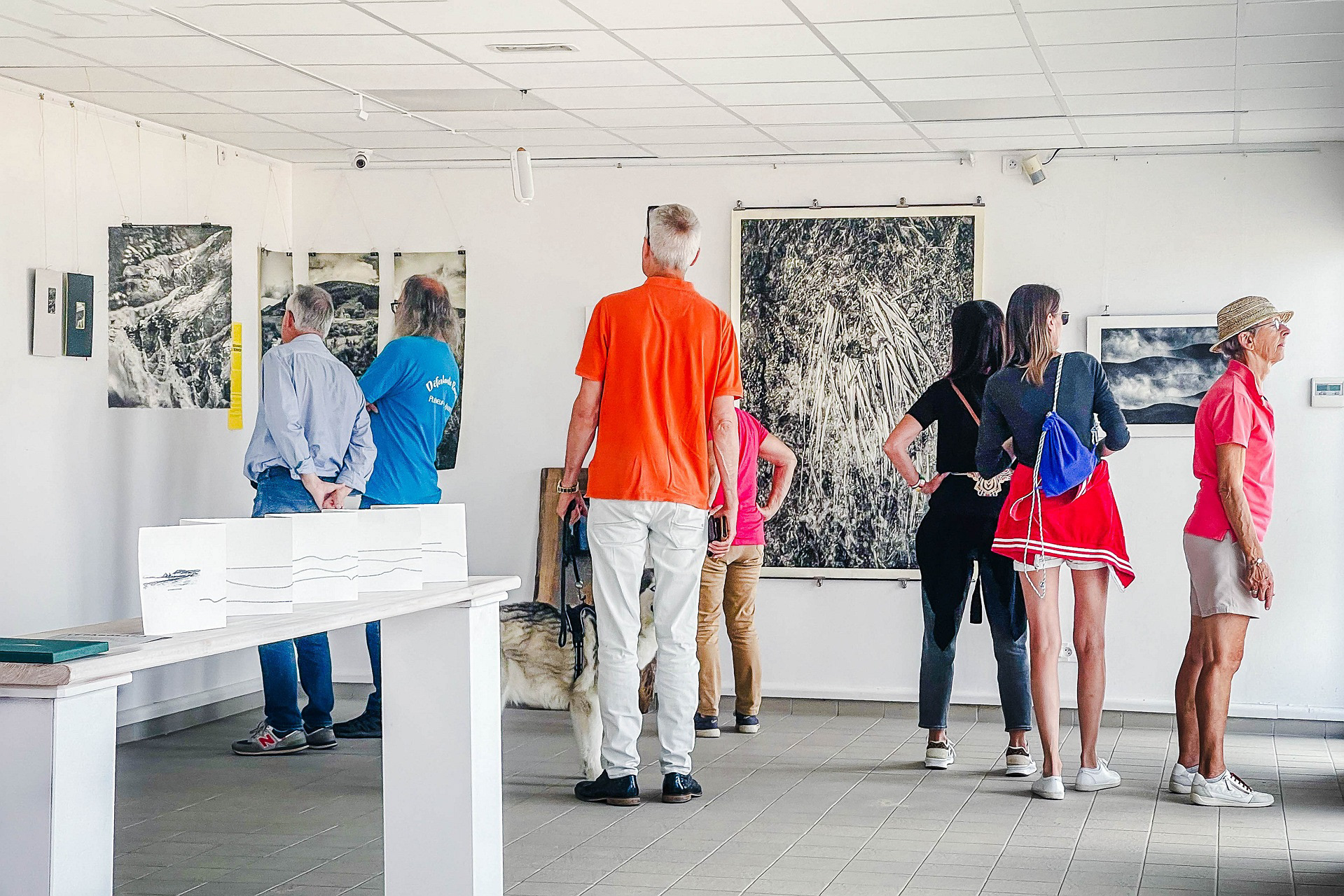 Exposition Terre Neuve - 2024