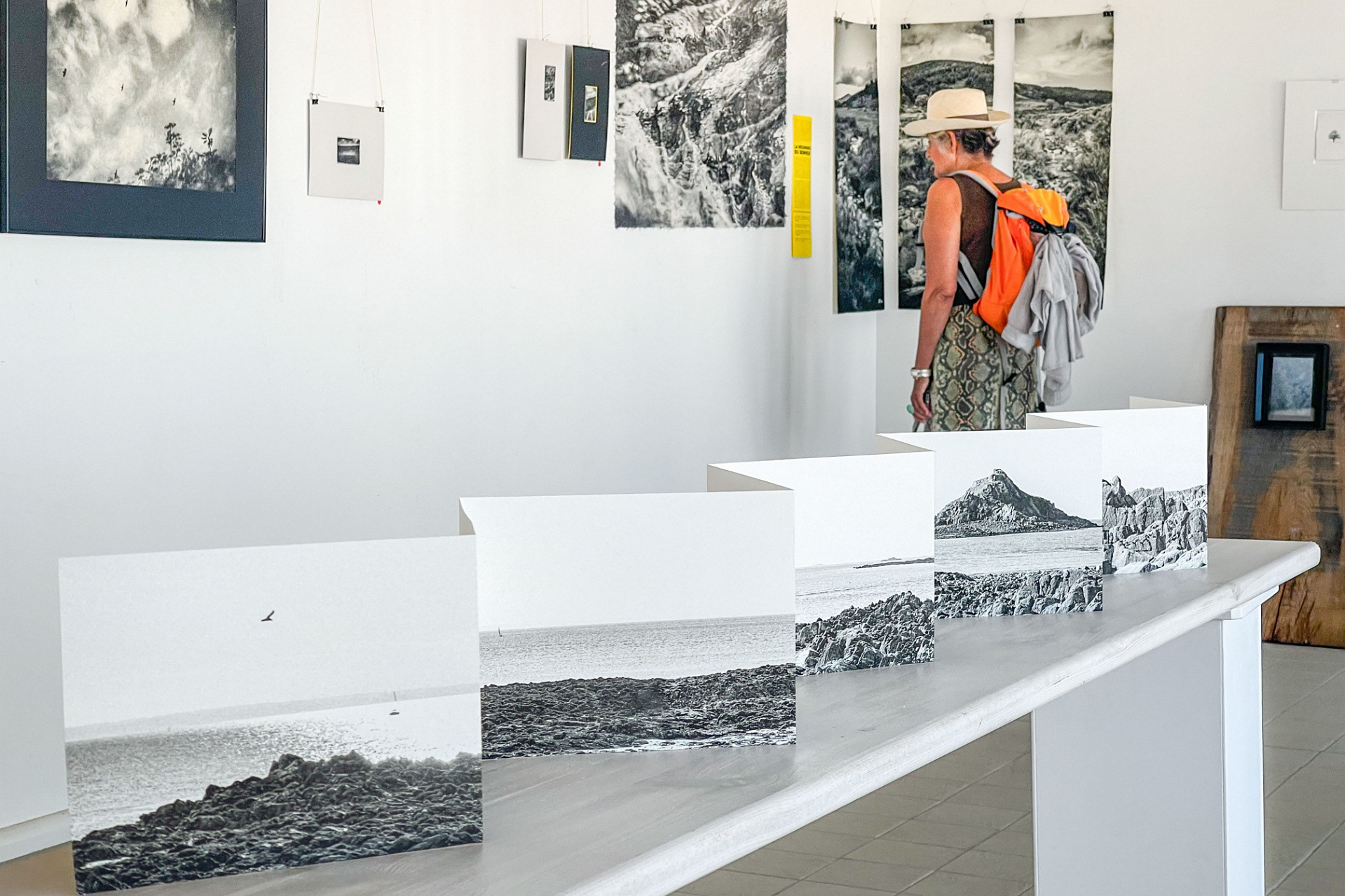 Exposition Terre Neuve - 2024