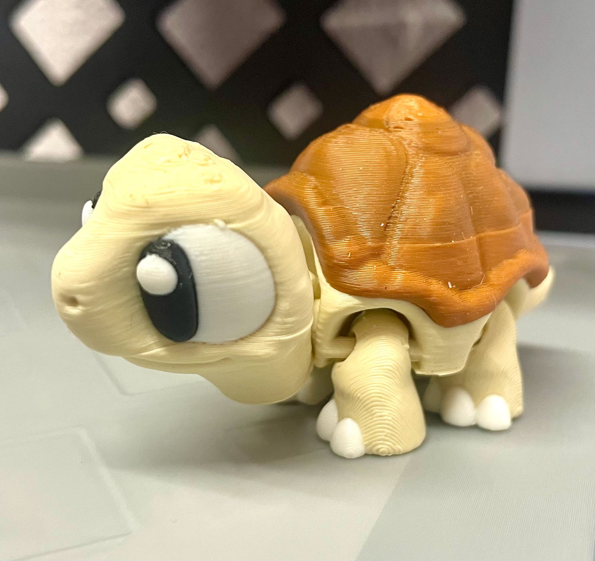 Mini Landschildkröte