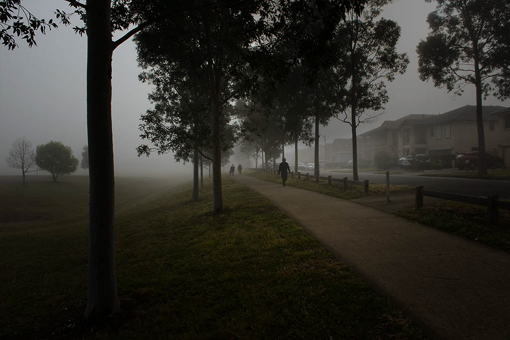 Early morning winter fog, Quakers Hill, NSW