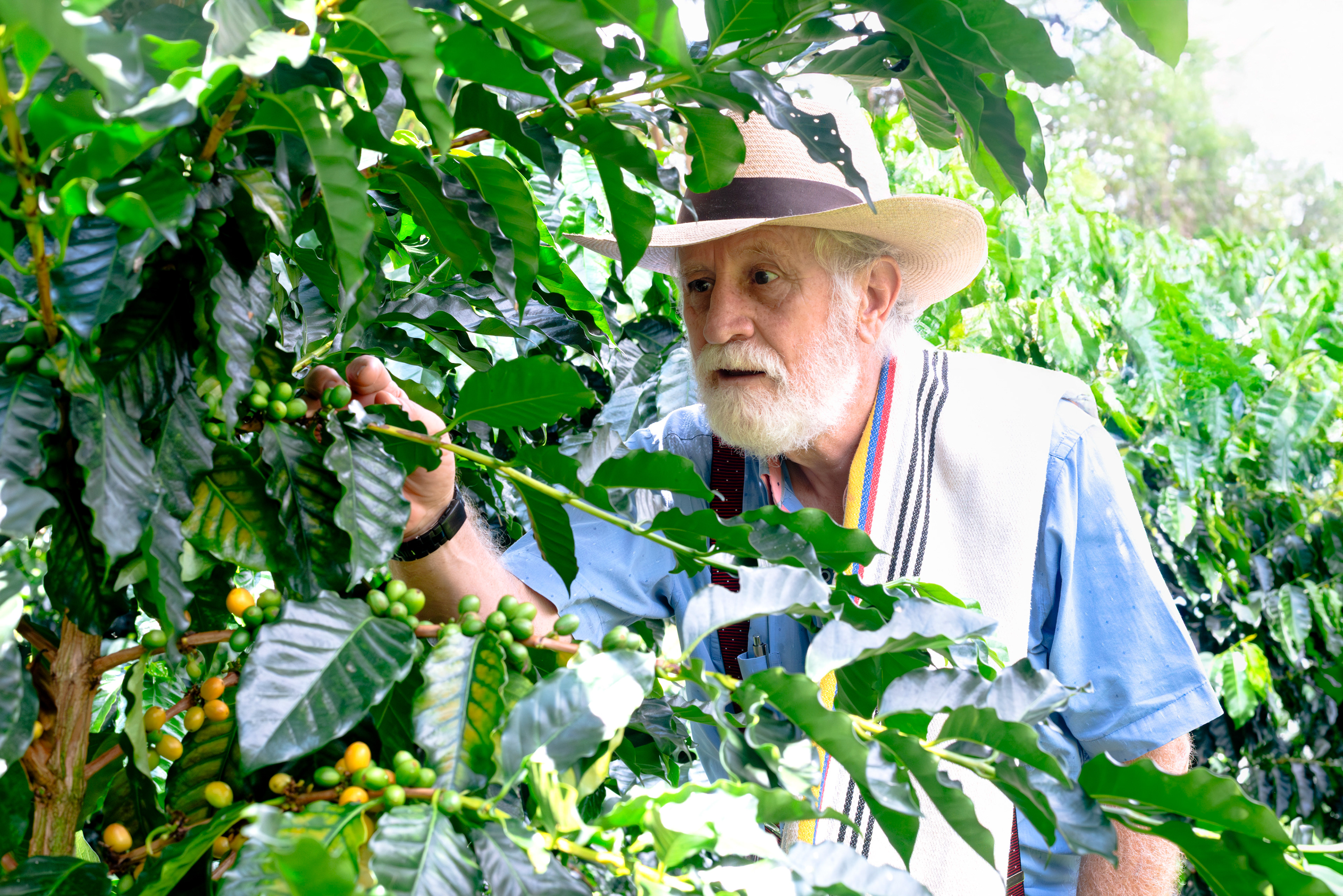 Fotos para el Café de especialidad 'La Cabra Loca' (COL)