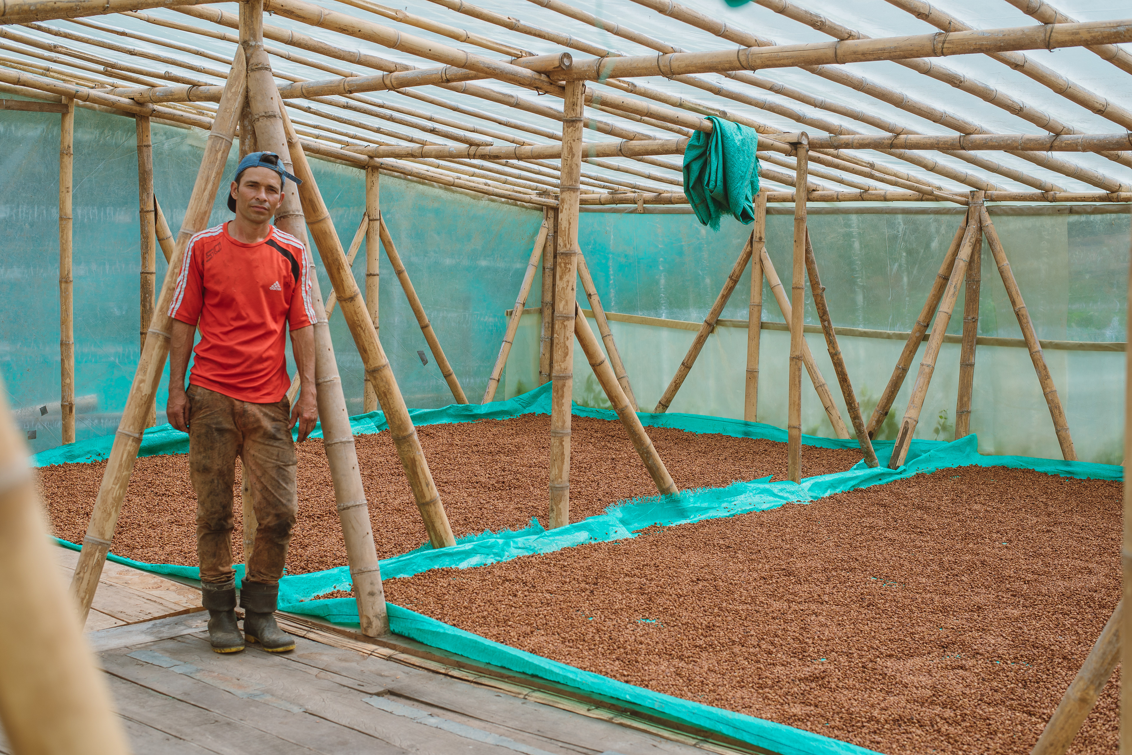 Fotos para 'Cofinet' y su proyecto 'Good Coffee Doing Good',