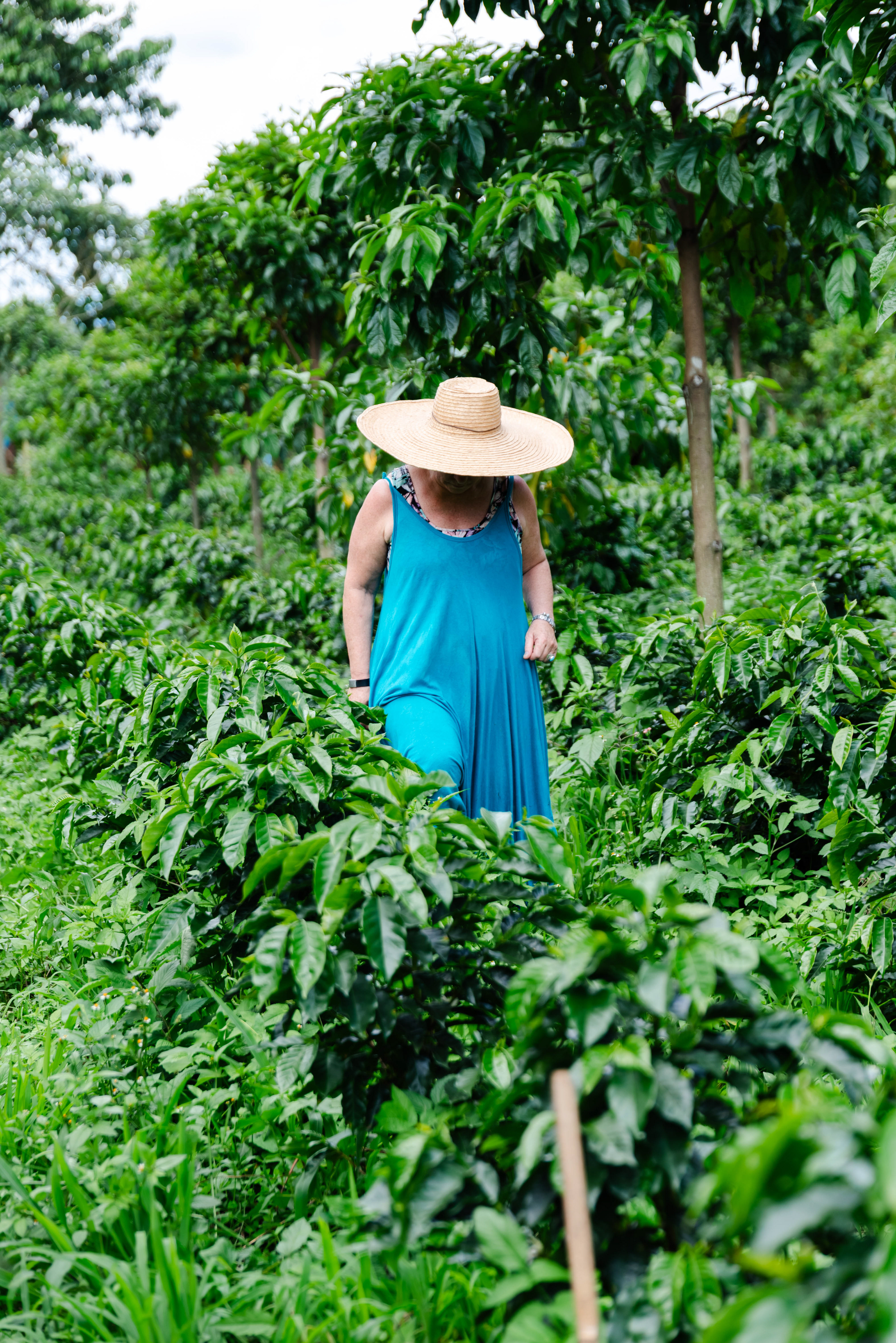 Fotos para el Café de especialidad 'La Cabra Loca' (COL)