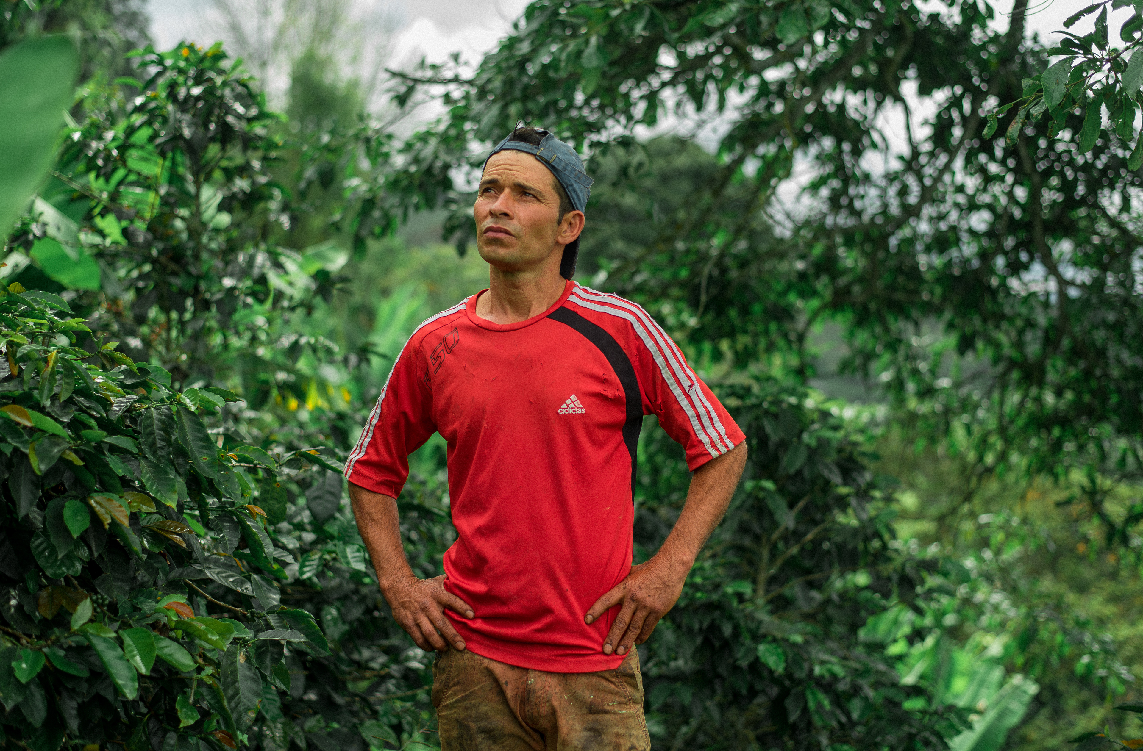 Fotos para 'Cofinet' y su proyecto 'Good Coffee Doing Good',