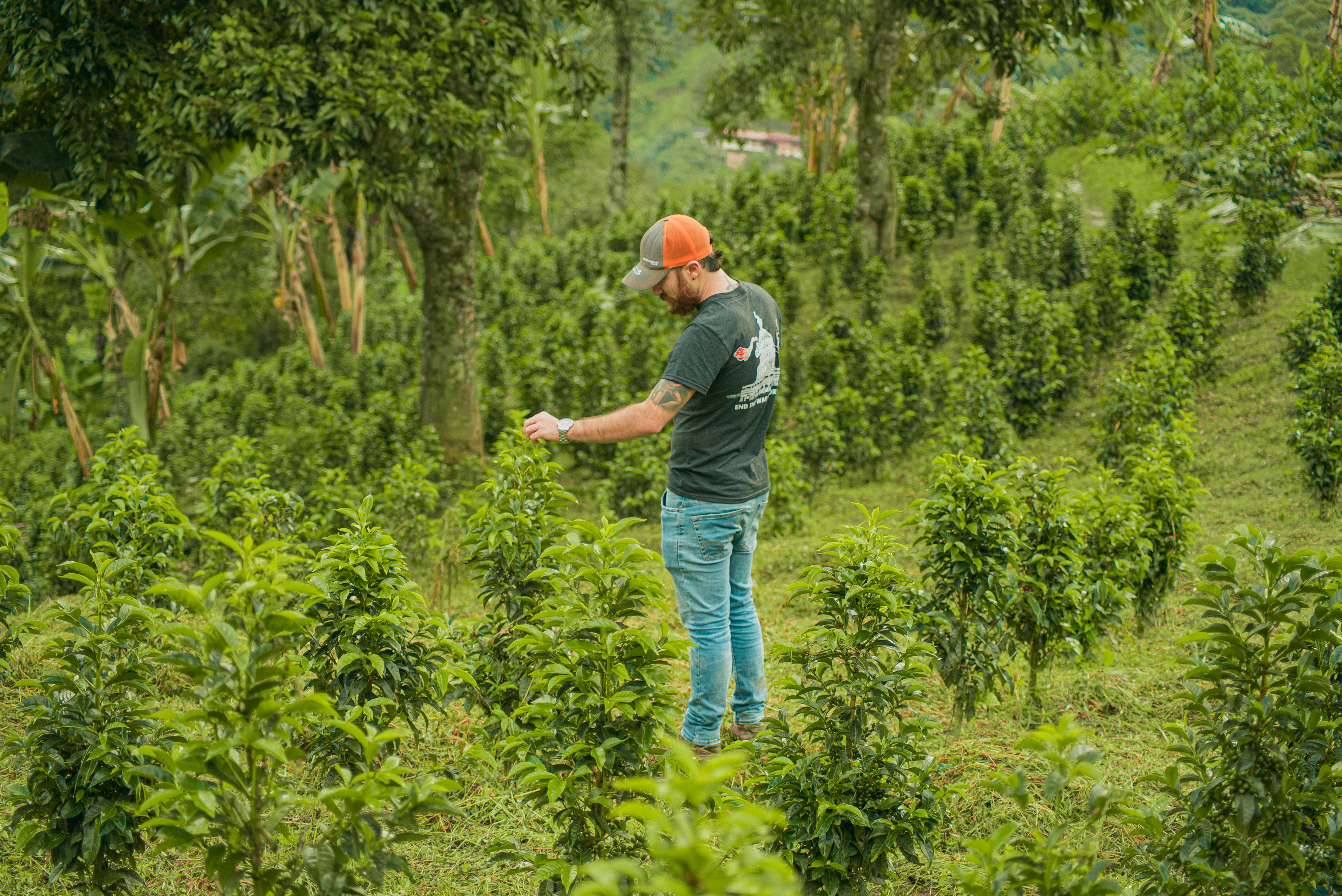 Fotos para 'Cofinet' y su proyecto 'Good Coffee Doing Good',