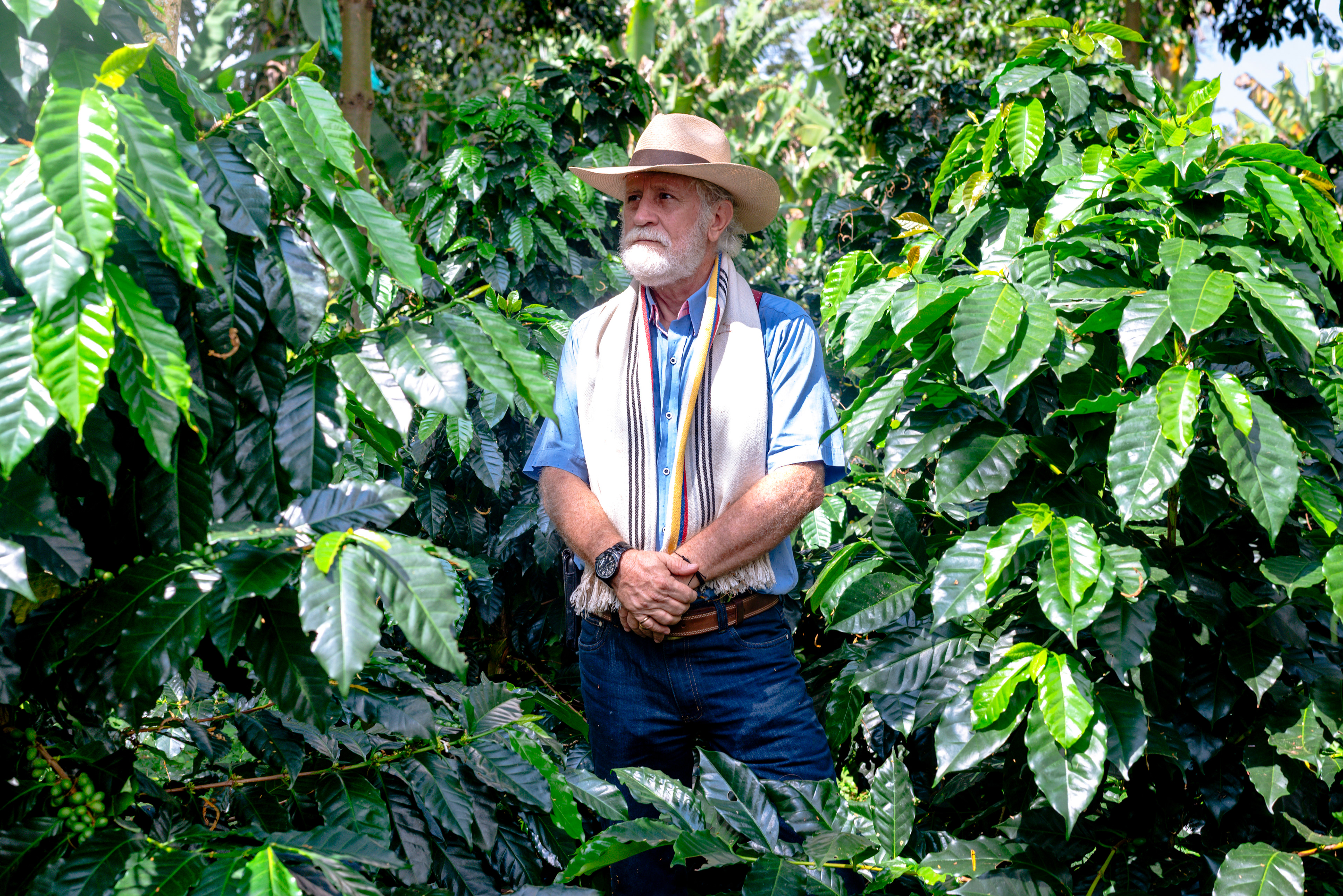 Fotos para el Café de especialidad 'La Cabra Loca' (COL)