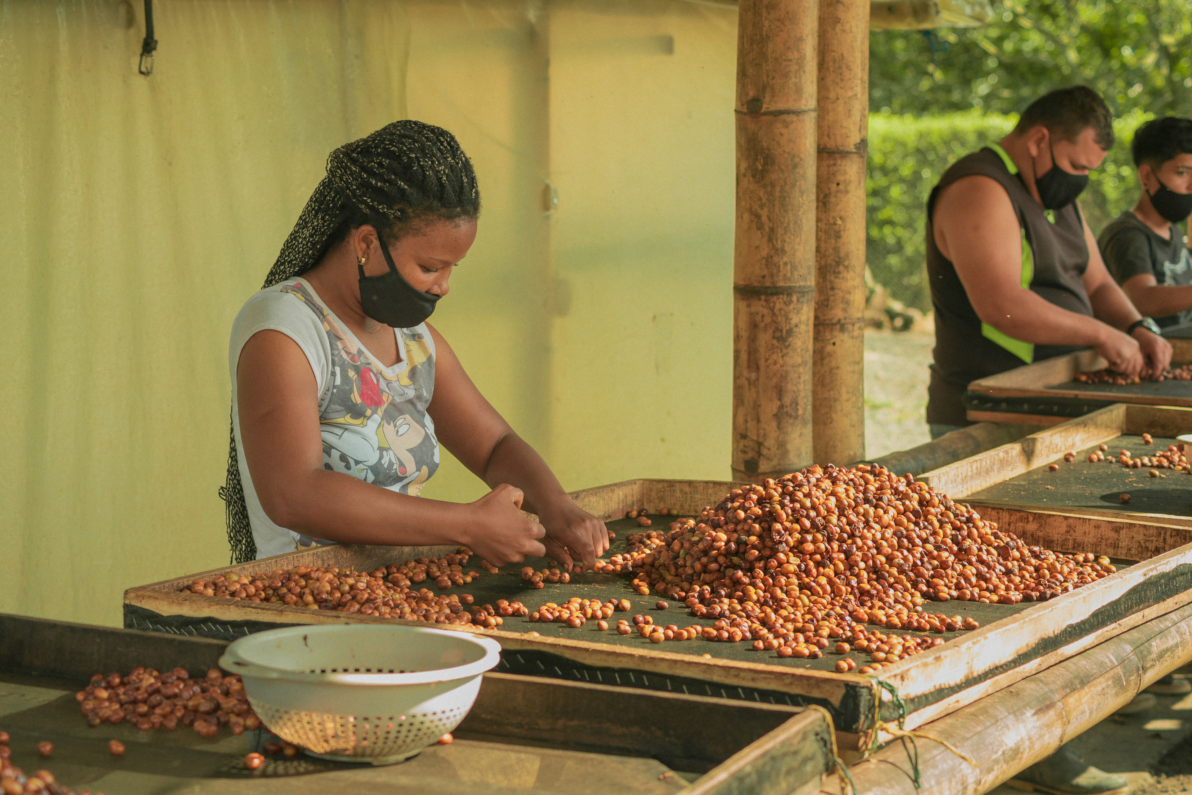 Fotos para 'Cofinet' y su proyecto 'Good Coffee Doing Good',