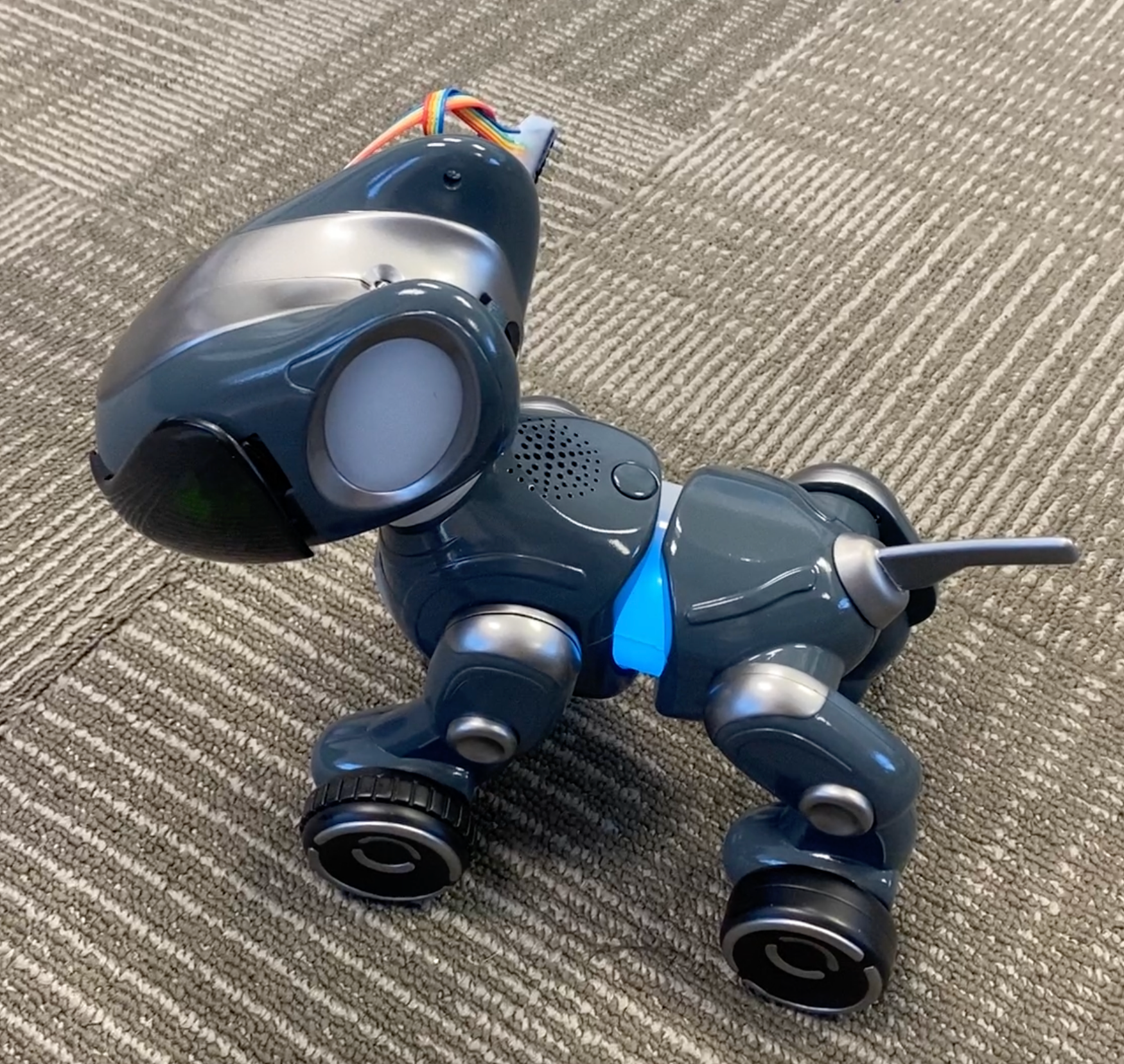 Early Functional Prototype