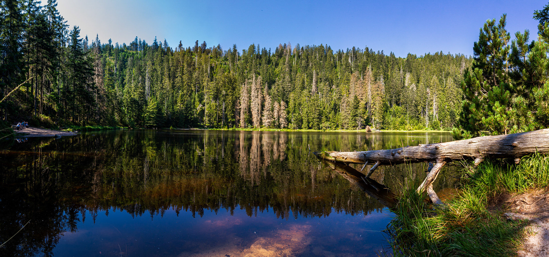 Wildsee