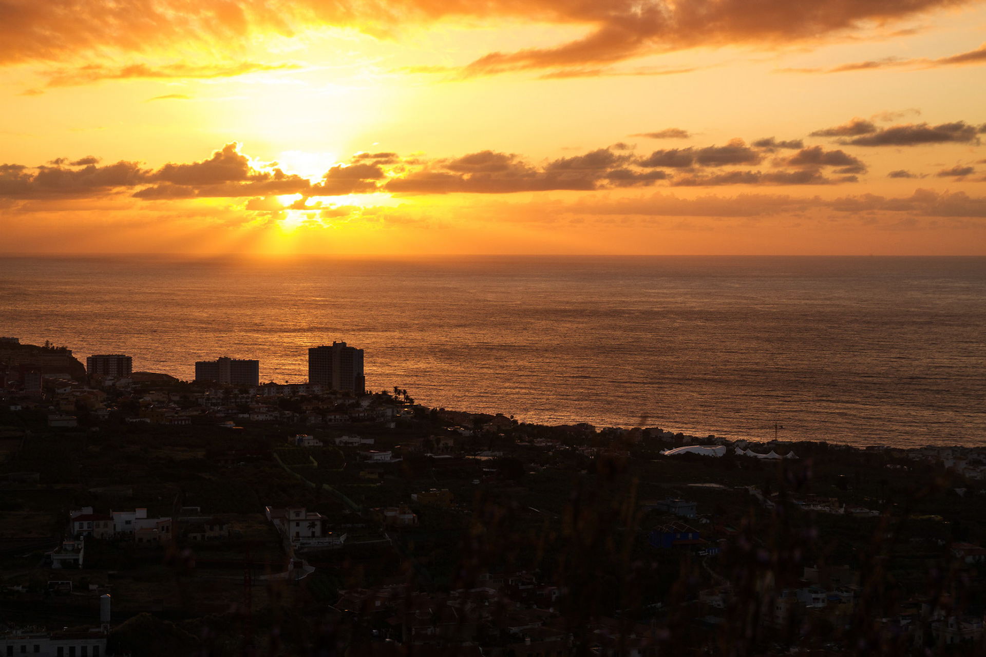 Puerto de la Cruz