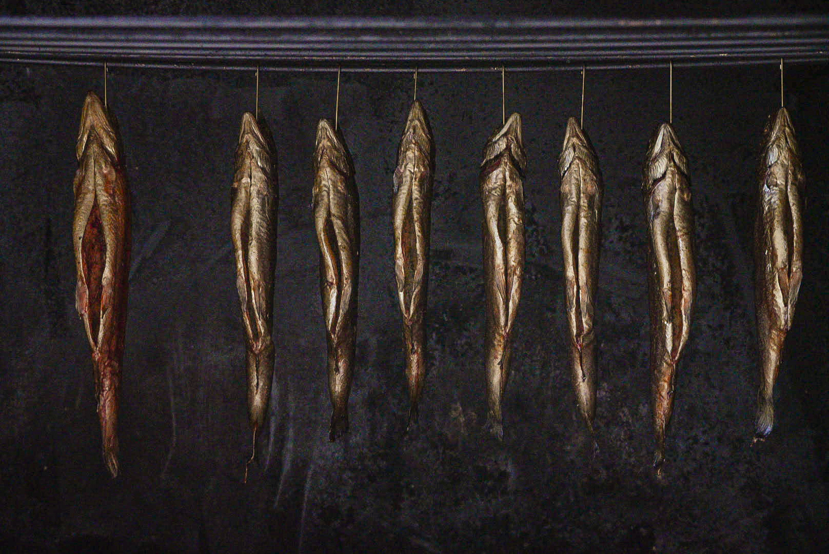  Produkt Shooting Fischfarm Forelli