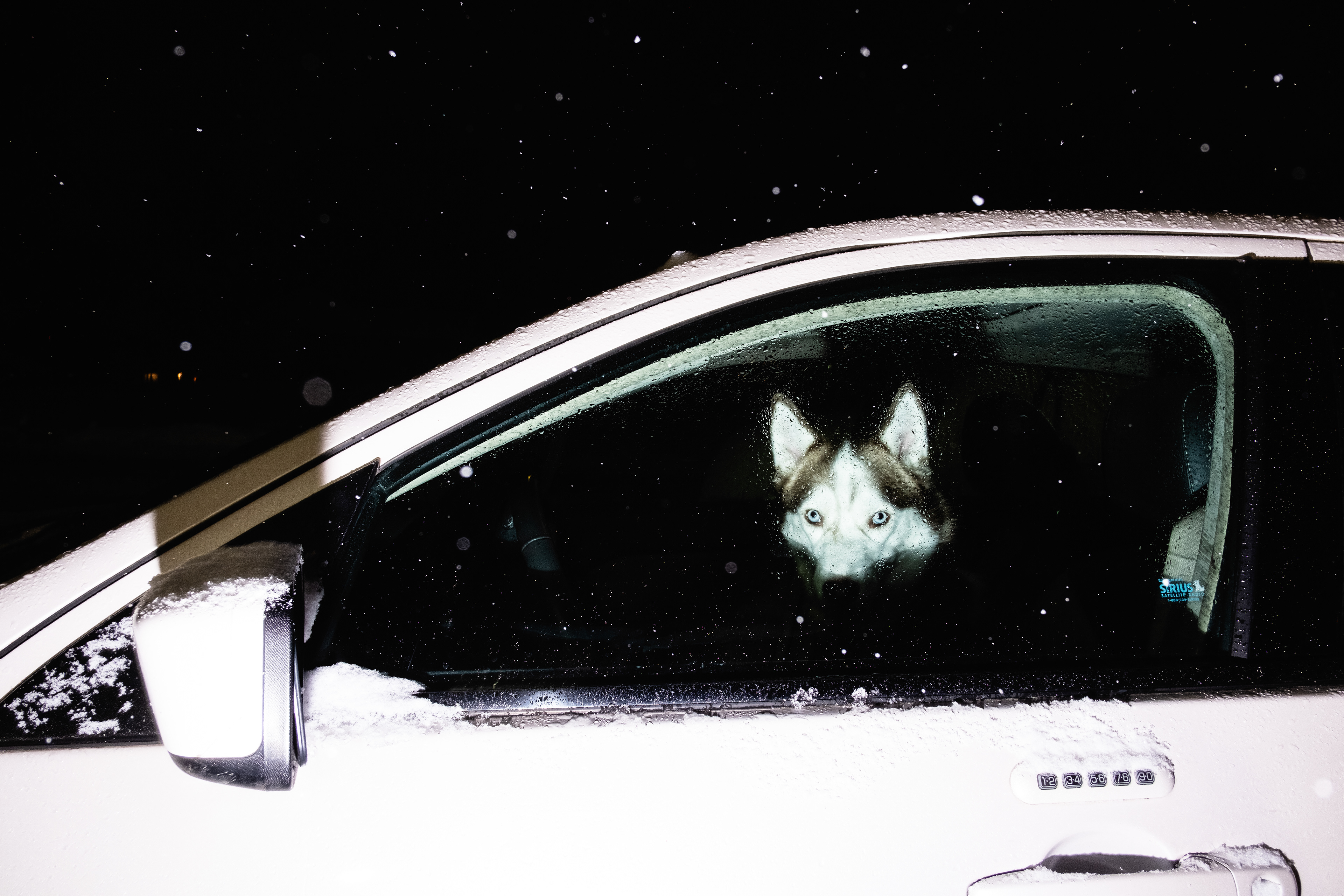 Lorna, Severn MD, 2025