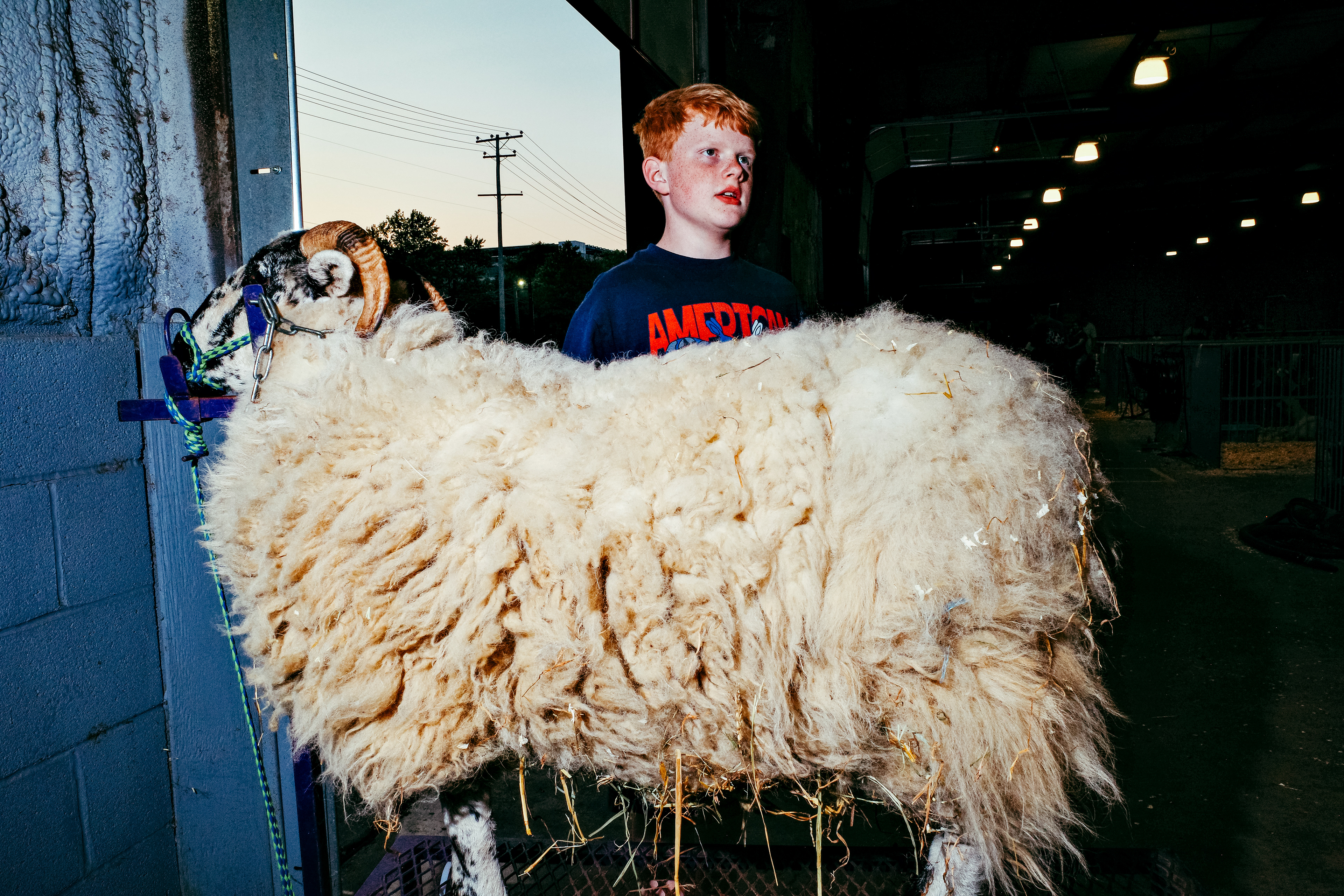 A boy from Boonsboro tends to his familys sheep at the Maryland state fair in Timonium MD, Aug 2024
