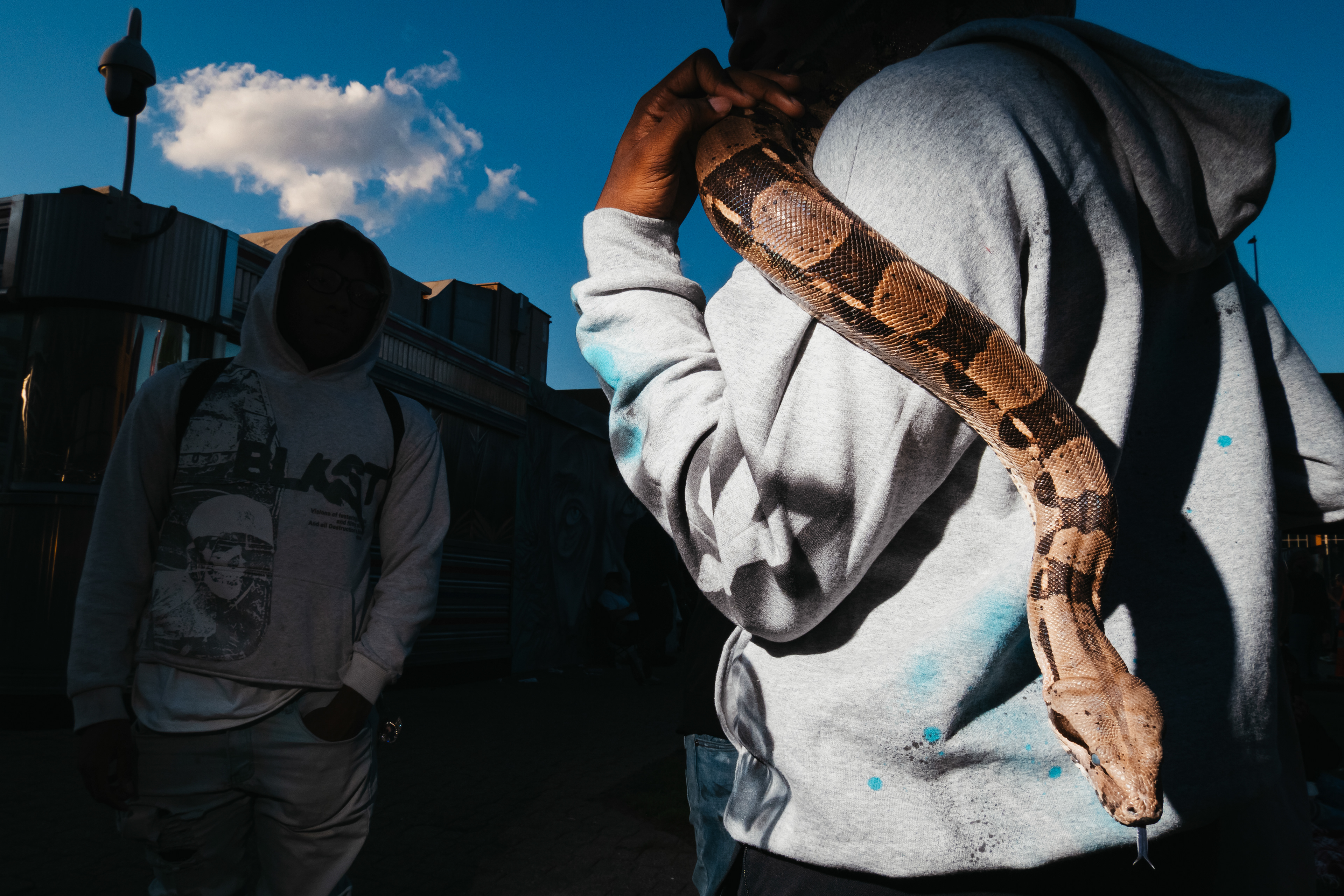 A snake handler at Artscape, Baltimore 2025