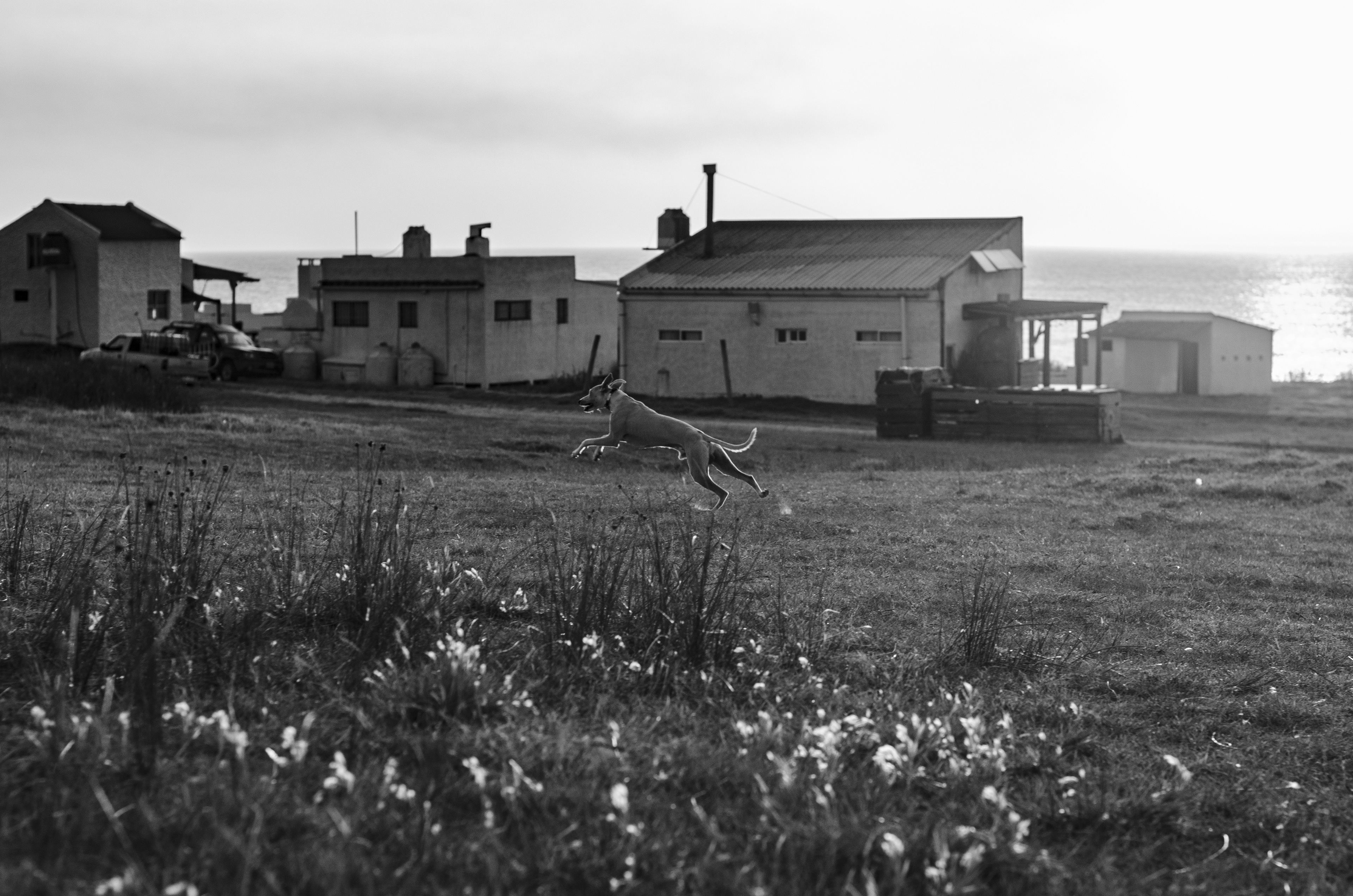 Cabo Polonio