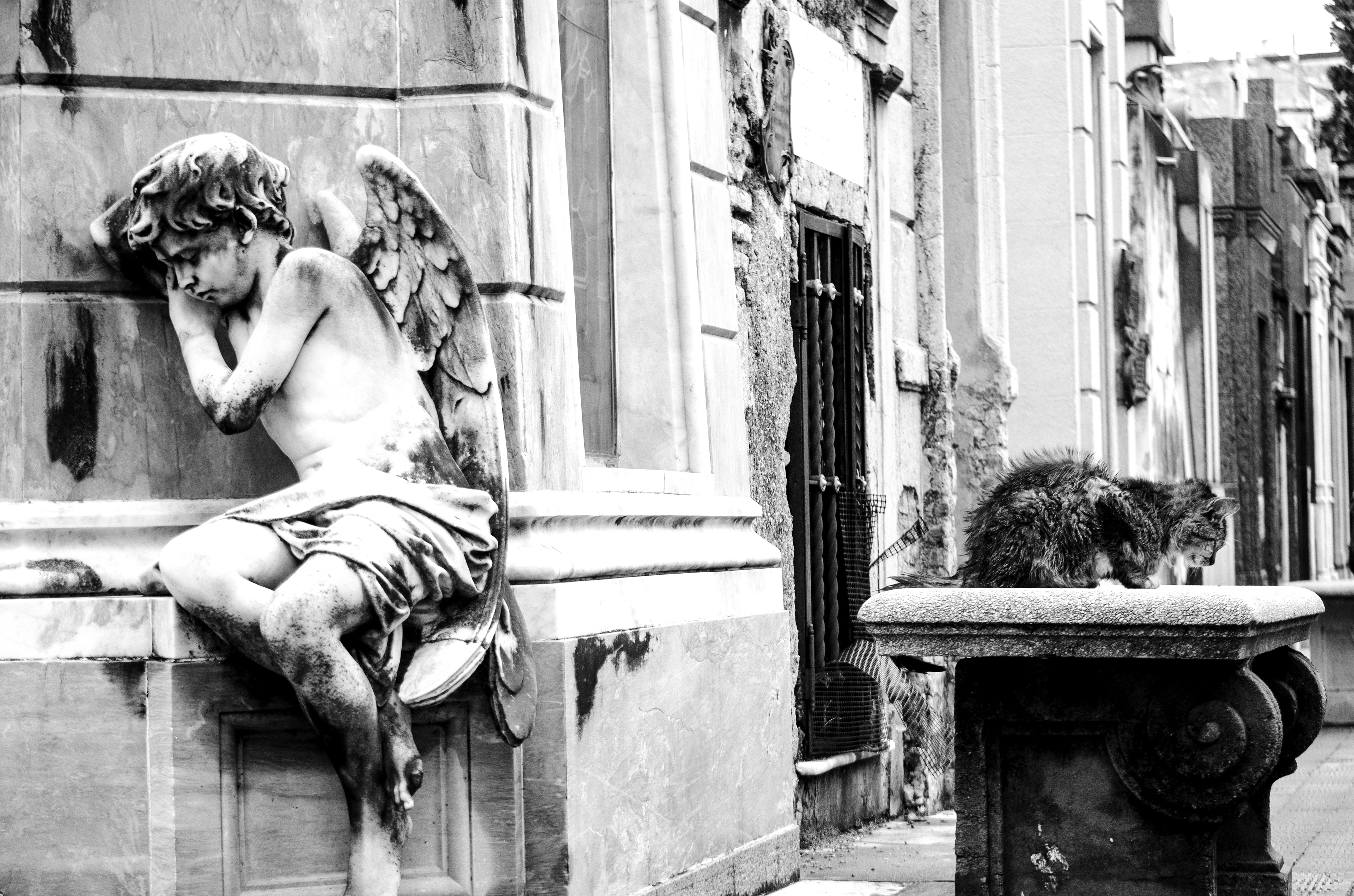 Cementerio Recoleta, Buenos Aires, Argentina.