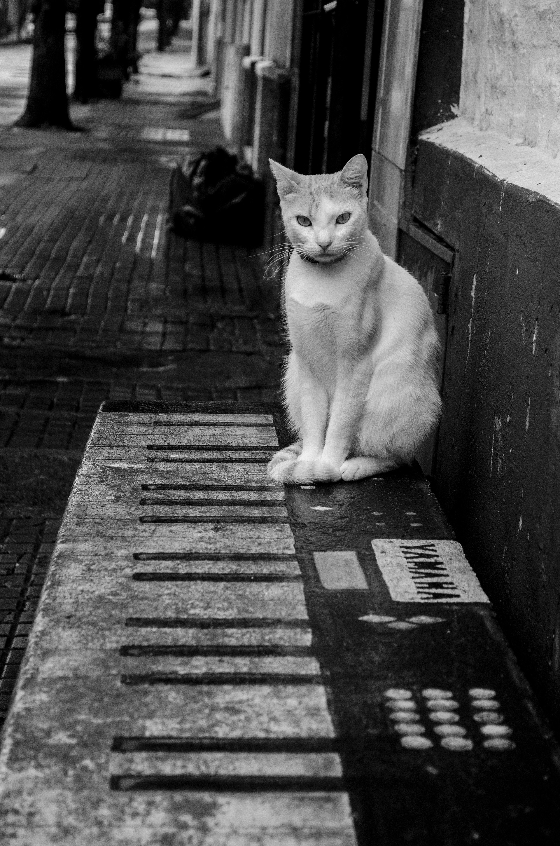 Jazz a la calle, Mercedes, Soriano.