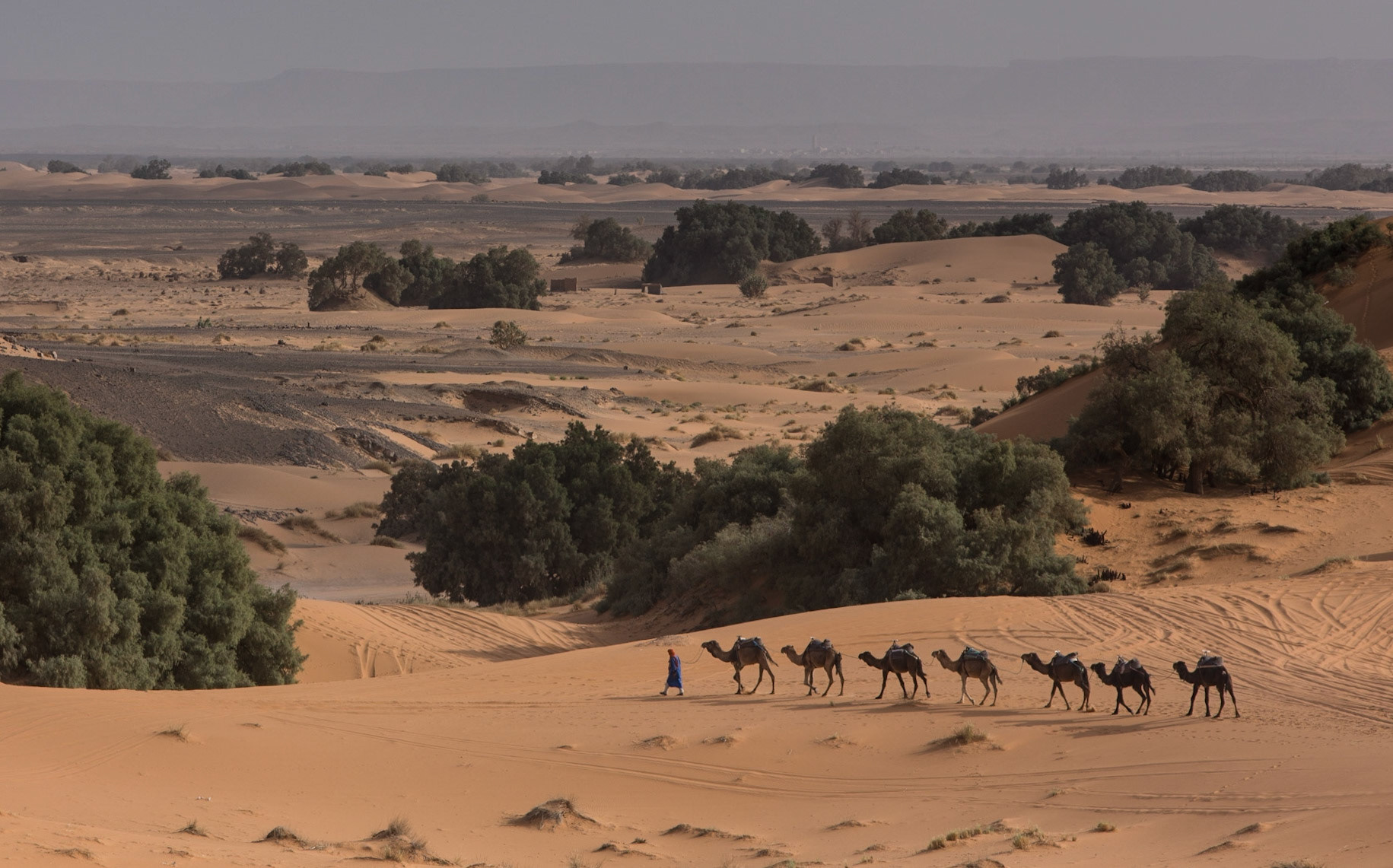 Merzouga is a small village in southeastern Morocco, about 35 kilometres southeast of Rissani, about 55 kilometers from Erfoud, and about 50 kilometers from the Algerian border.The village is known for its proximity to Erg Chebbi, a Saharan broad, flat area of desert covered with wind-swept sand with little or no vegetative cover.