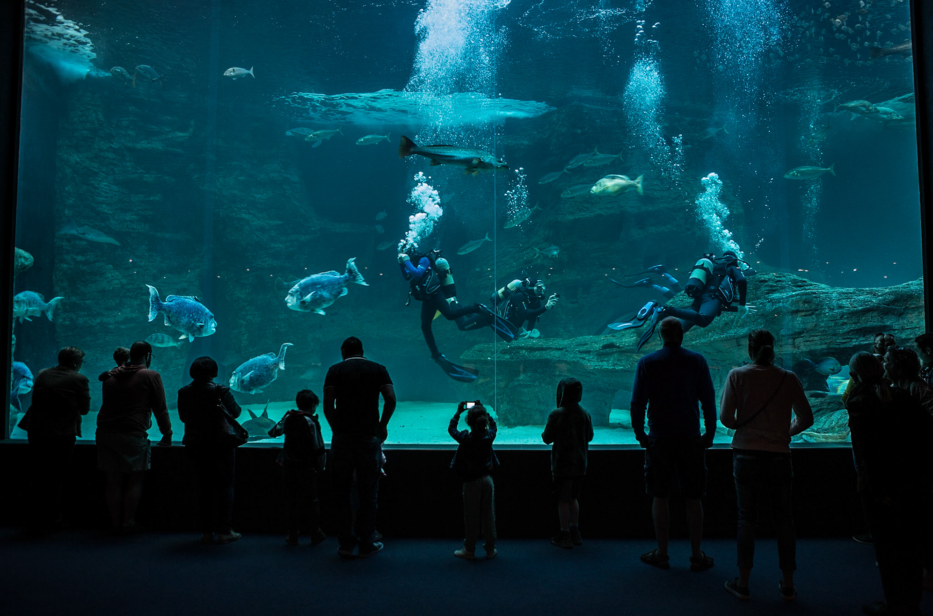 The Atlantic and Indian Oceans meet with great triumph at the southern tip of Africa. The Two Oceans Aquarium at the V&amp;A Waterfront in Cape Town, South Africa, was created to celebrate the diverse marine life in these two vast habitats. It is especially designed for kids and my 6 year-old daughter had a wonderful time coming face-to-face with predators of the deep or fish as multi-coloured as the most vibrant rainbow.