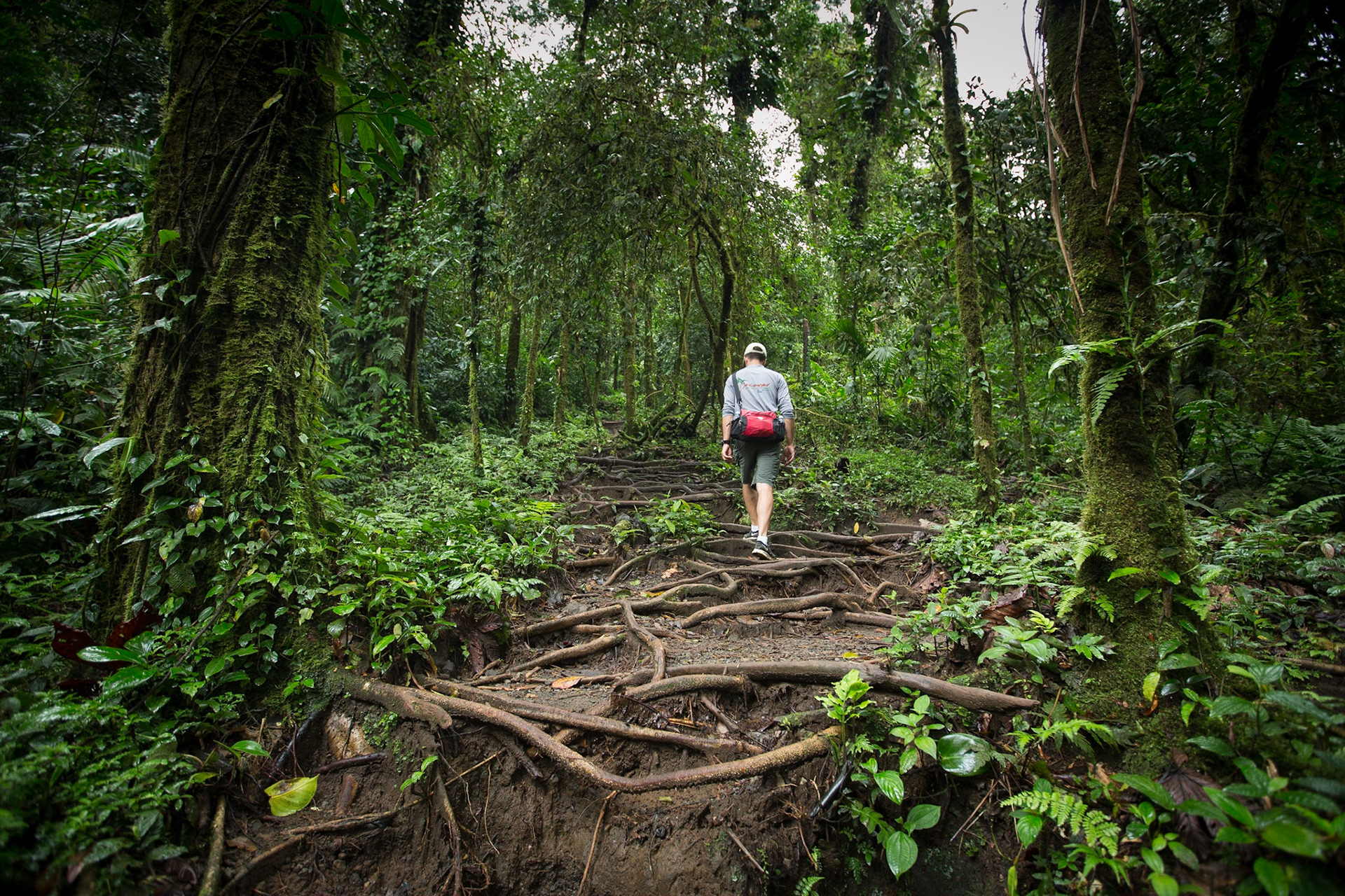 Cerro Chato hike, Costa Rica. Cerro Chato is an inactive volcano close to Arenal, with a beautiful lake occupying a crater surrounded by dense forest. The hike from the base of the volcano is amazing yet intense, ascending trails through gorgeous rainforest until reaching the craters rim.