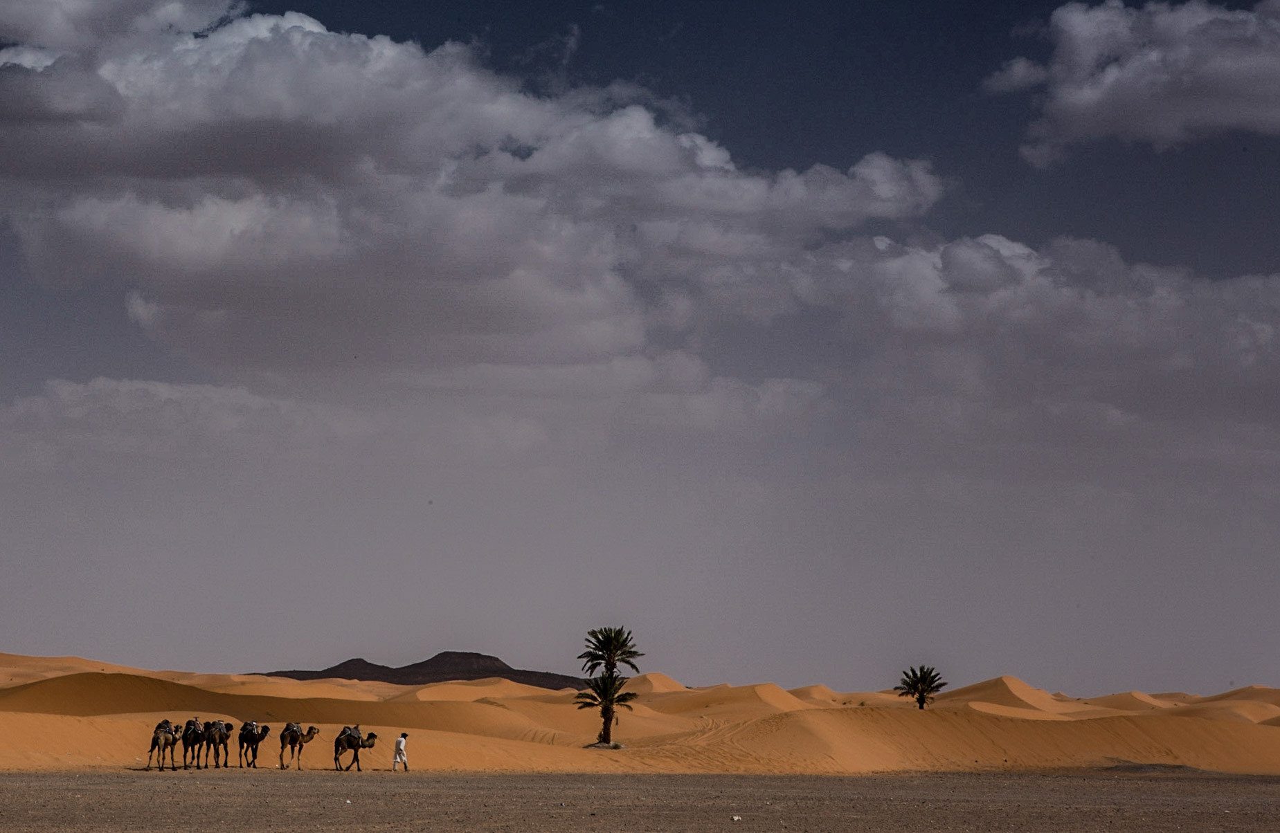 Merzouga is a small village in southeastern Morocco, about 35 kilometres southeast of Rissani, about 55 kilometers from Erfoud, and about 50 kilometers from the Algerian border.The village is known for its proximity to Erg Chebbi, a Saharan broad, flat area of desert covered with wind-swept sand with little or no vegetative cover.