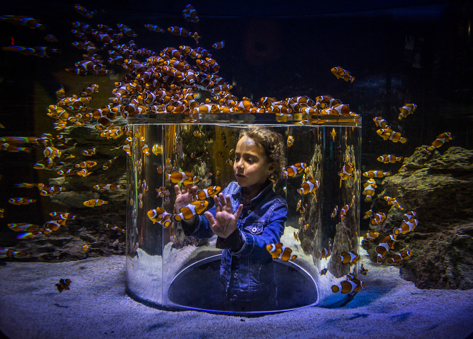 The Atlantic and Indian Oceans meet with great triumph at the southern tip of Africa. The Two Oceans Aquarium at the V&amp;A Waterfront in Cape Town, South Africa, was created to celebrate the diverse marine life in these two vast habitats. It is especially designed for kids and my 6 year-old daughter had a wonderful time coming face-to-face with predators of the deep or fish as multi-coloured as the most vibrant rainbow.