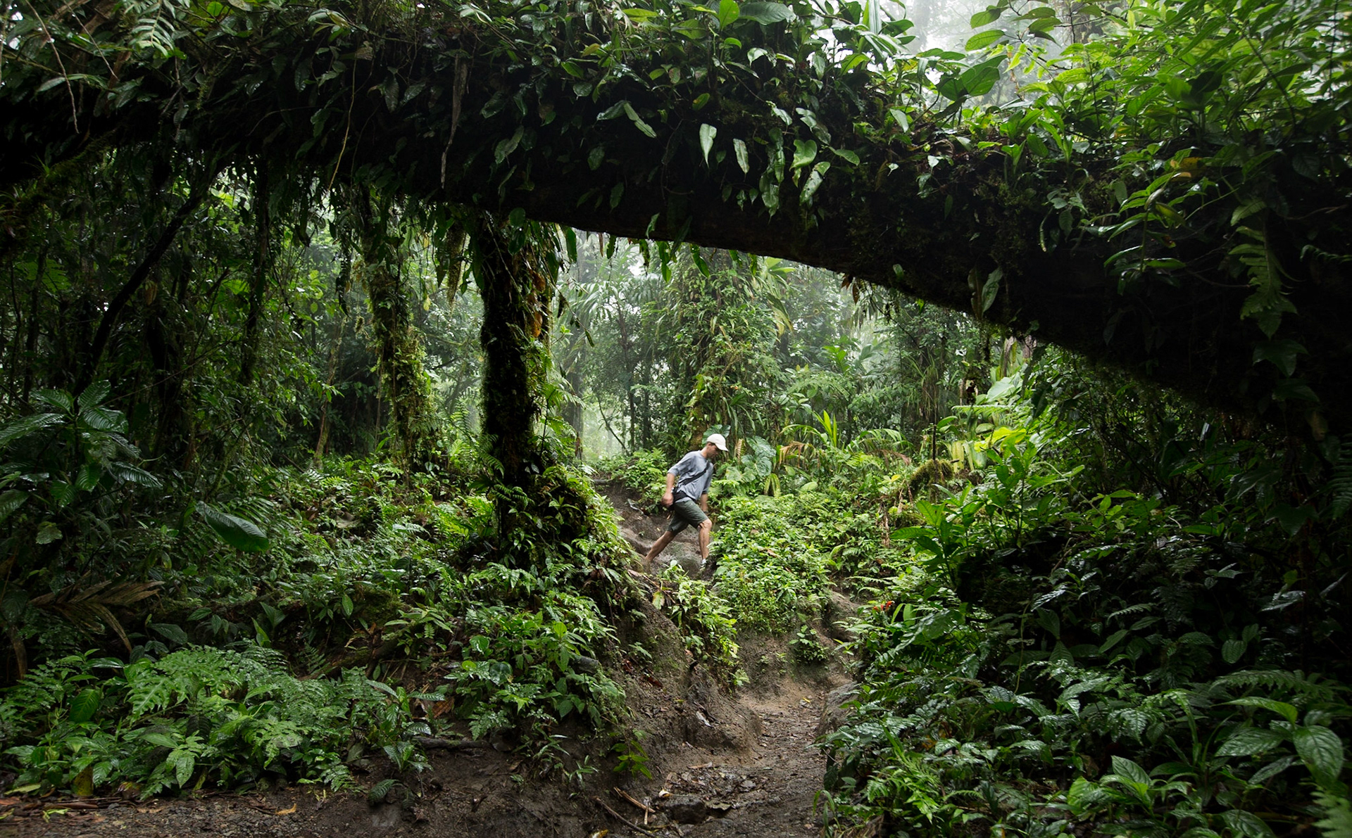 Cerro Chato hike, Costa Rica. Cerro Chato is an inactive volcano close to Arenal, with a beautiful lake occupying a crater surrounded by dense forest. The hike from the base of the volcano is amazing yet intense, ascending trails through gorgeous rainforest until reaching the craters rim.