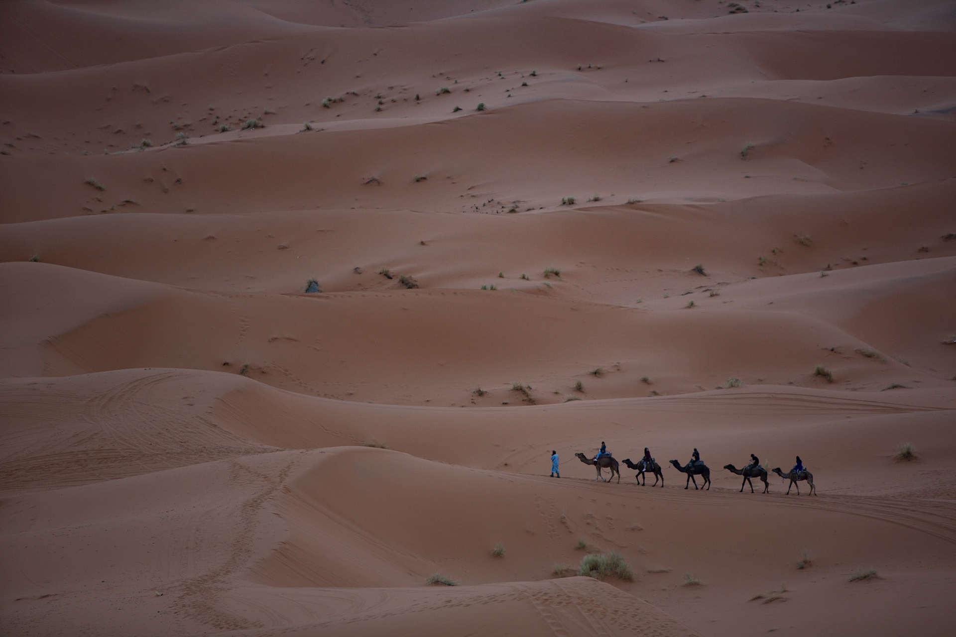 Merzouga is a small village in southeastern Morocco, about 55 kilometers from Erfoud, and about 50 kilometers from the Algerian border.The village is known for its proximity to Erg Chebbi, a Saharan broad area of desert covered with wind-swept sand. It is a true delight to climb to the top of the highest dune to watch the sunset, among the friendly Berbers and other travelers.