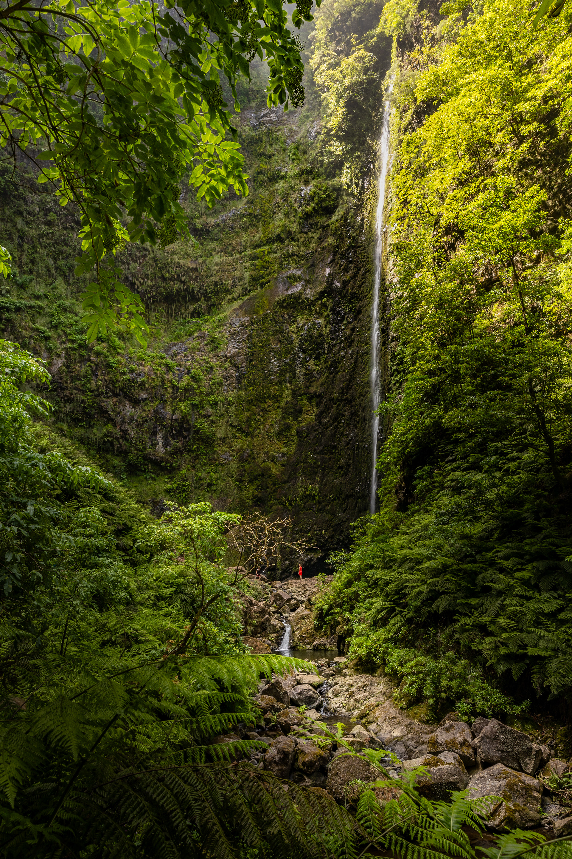 Caldeirão Verde (Madeira)