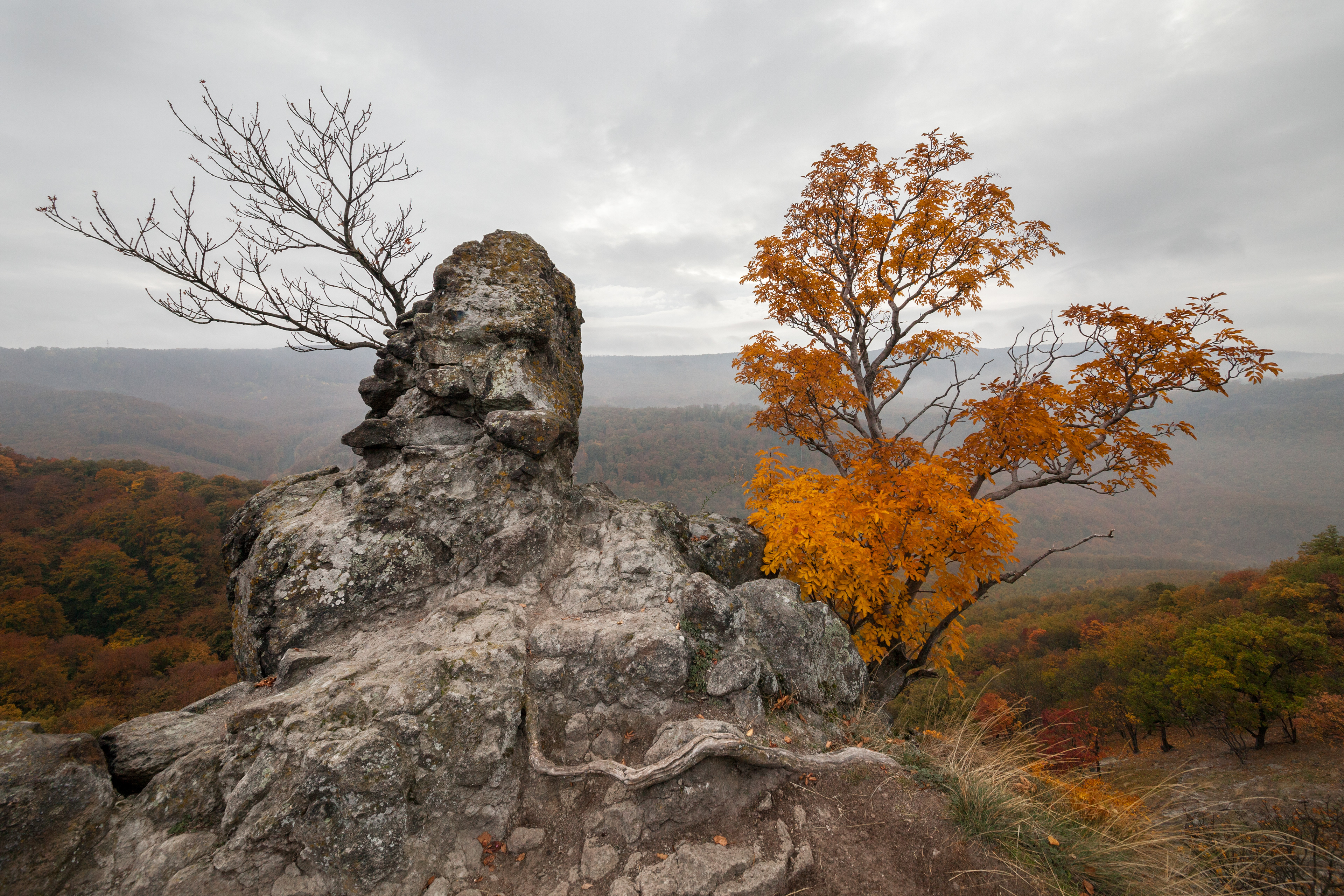 Vadálló kövek ősszel