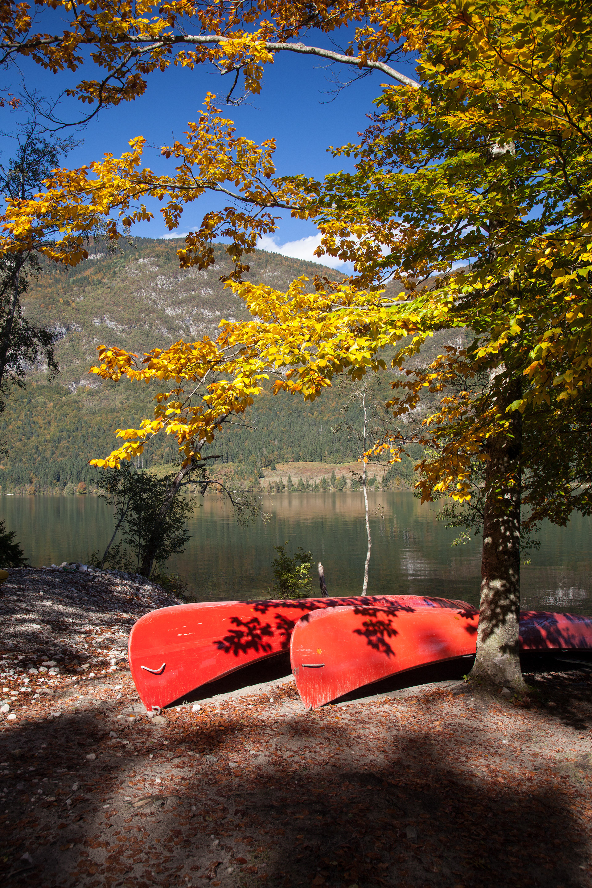 Ősz a Bohinji-tónal 2.