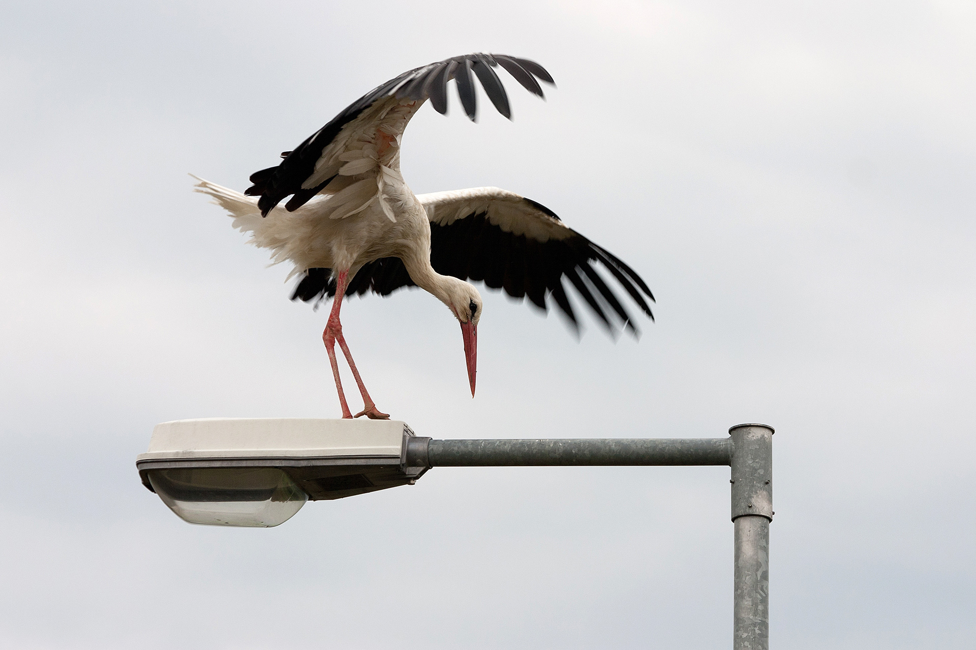 Vége az előadásnak