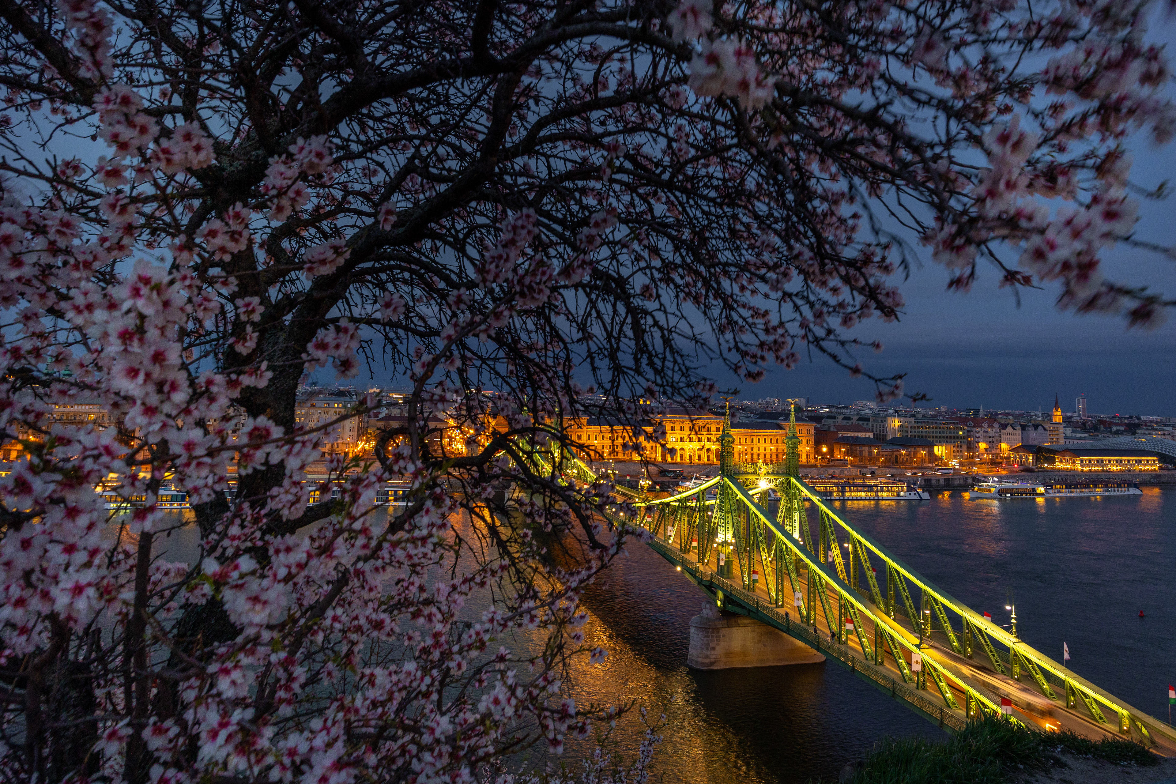 Mandulavirágos este Budapesten