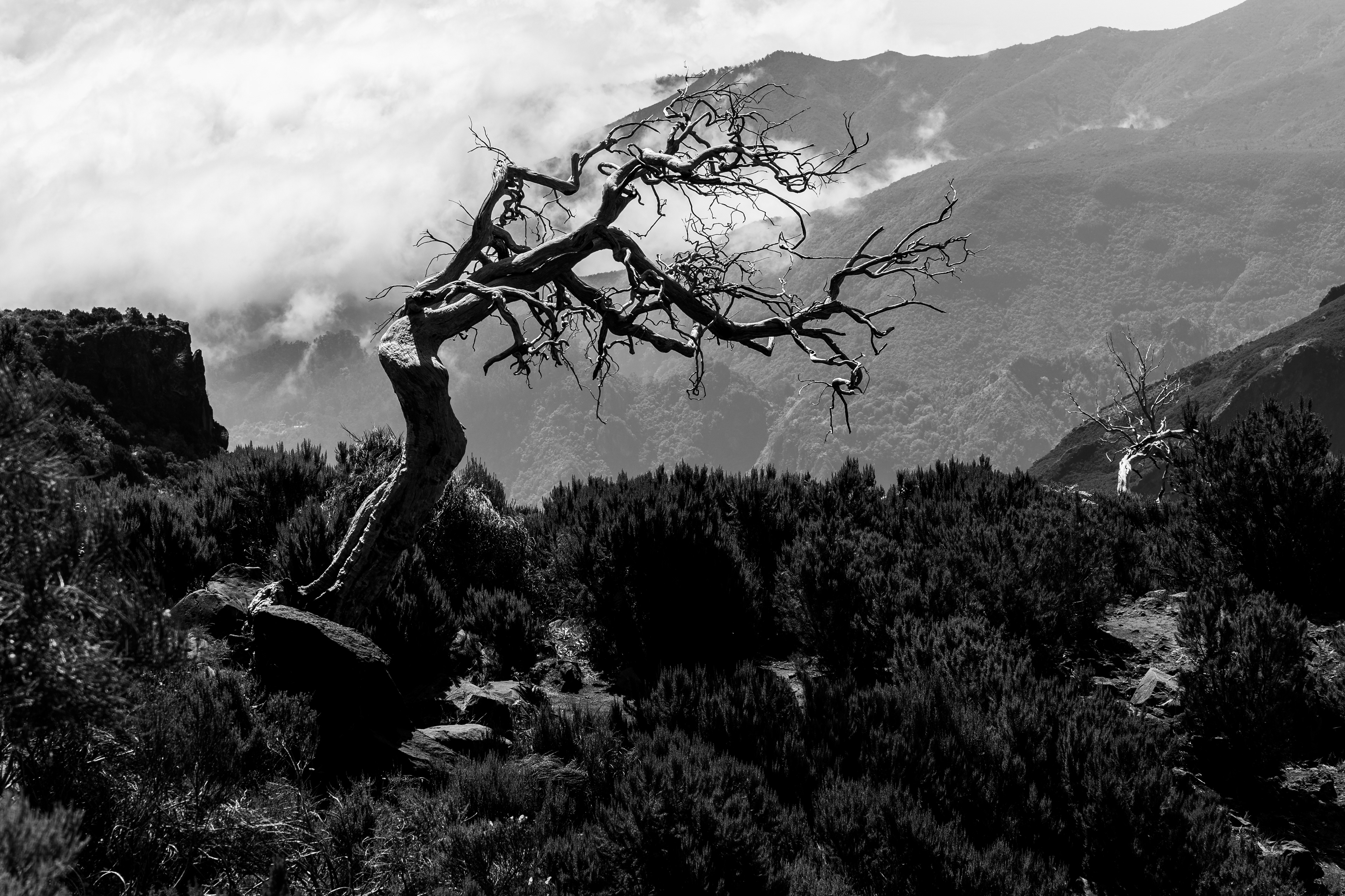 Küzdelem az elemekkel (Madeira)