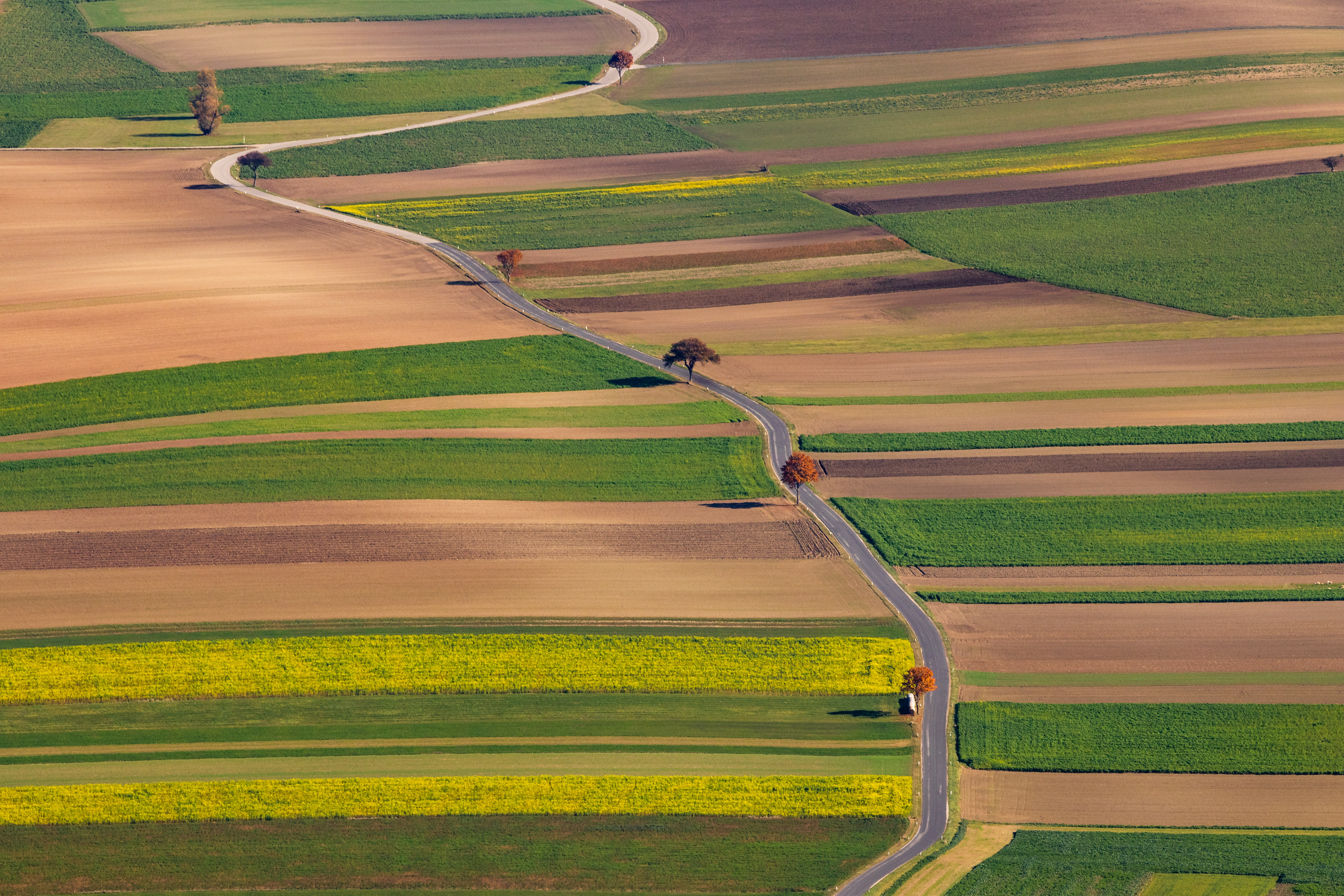 Őszi mezők (Ausztria)