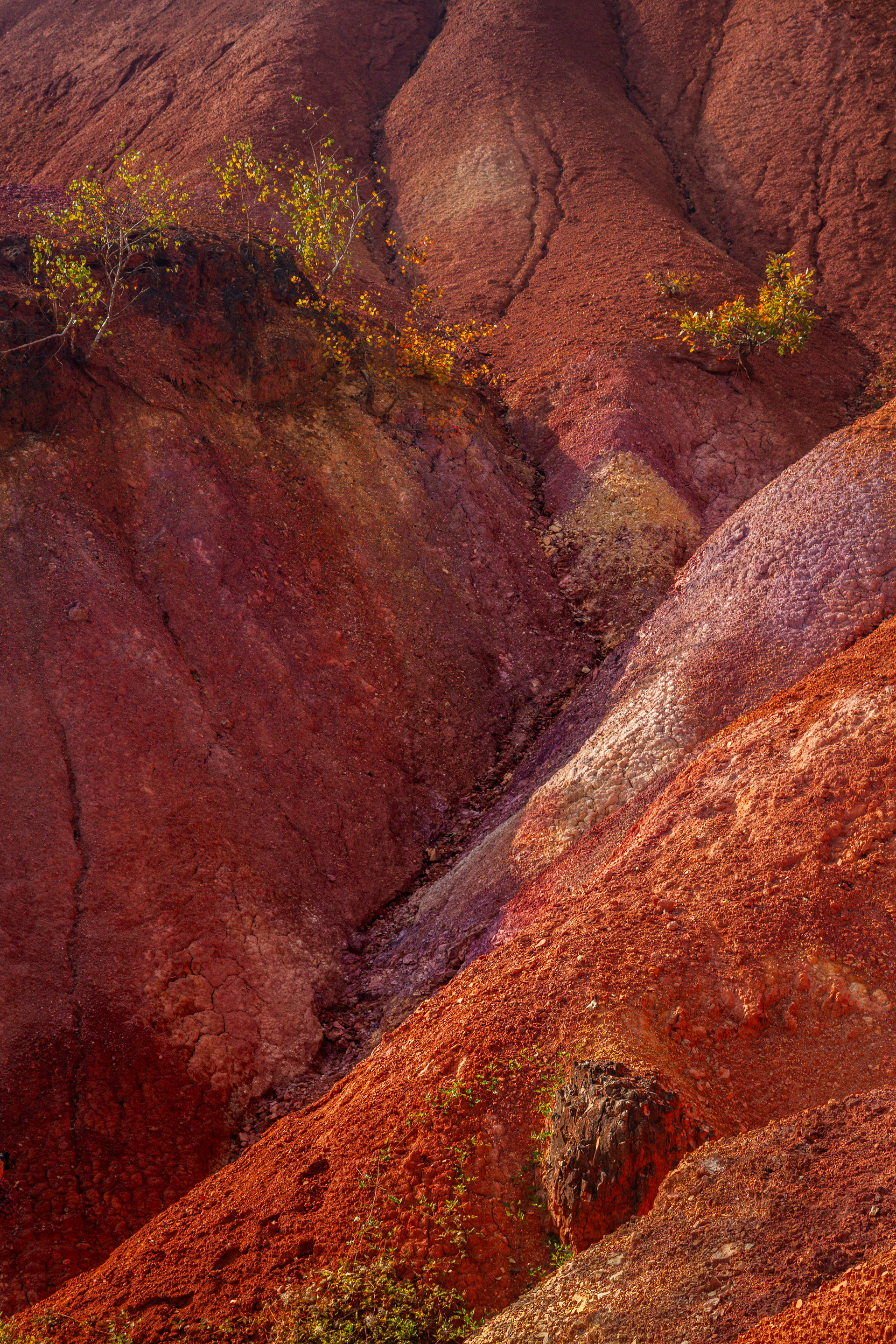 A vörös bolygó (Gánt)